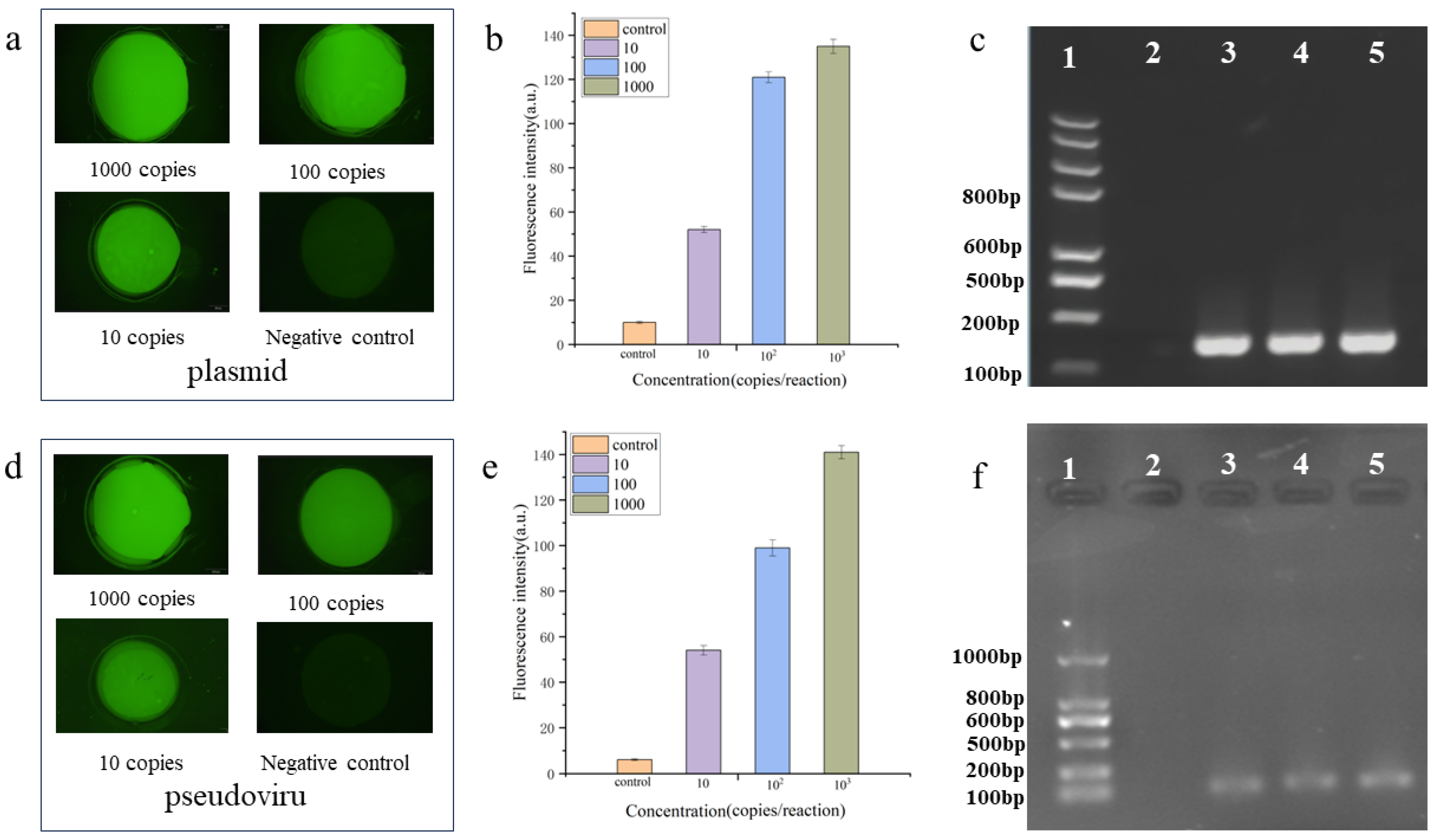 Biosensors 14 00379 g007