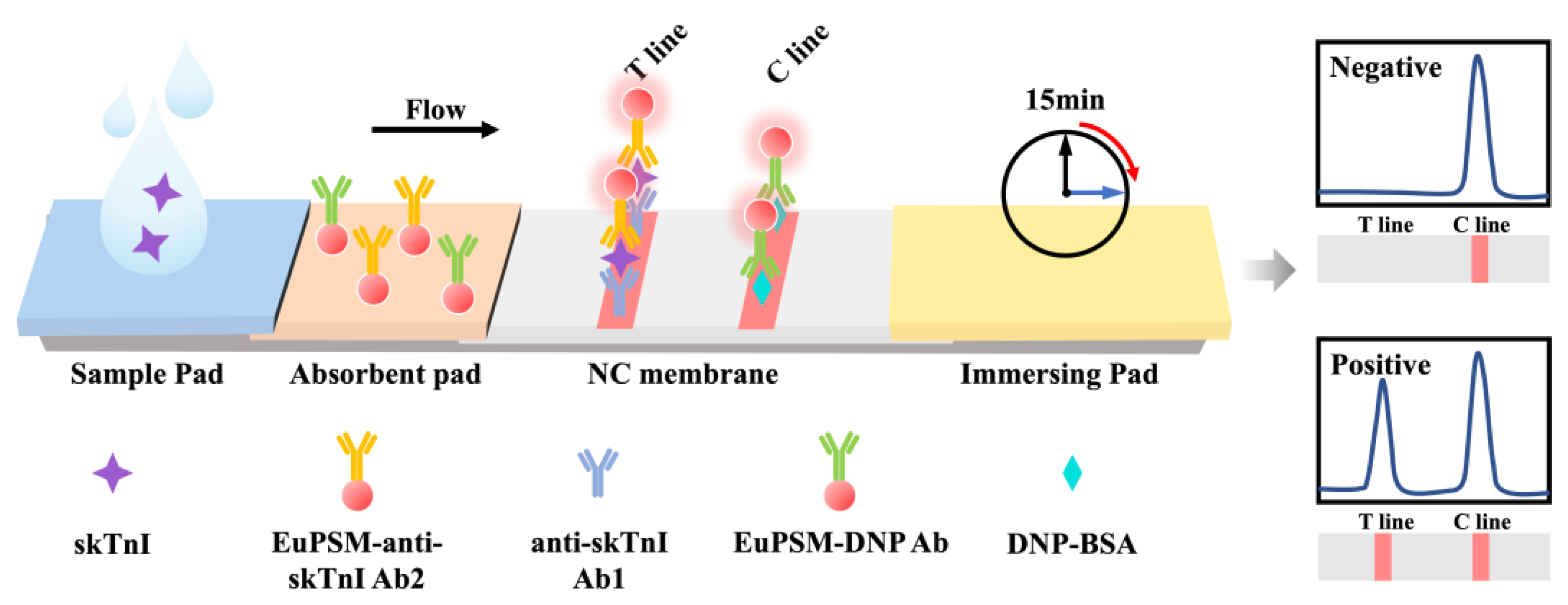 Biosensors 14 00381 g001