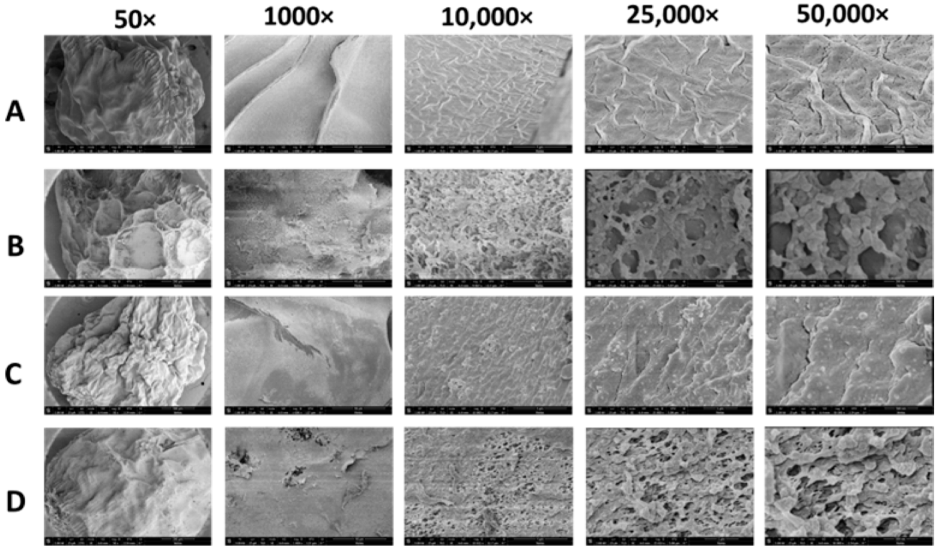 Biosensors 14 00383 g006