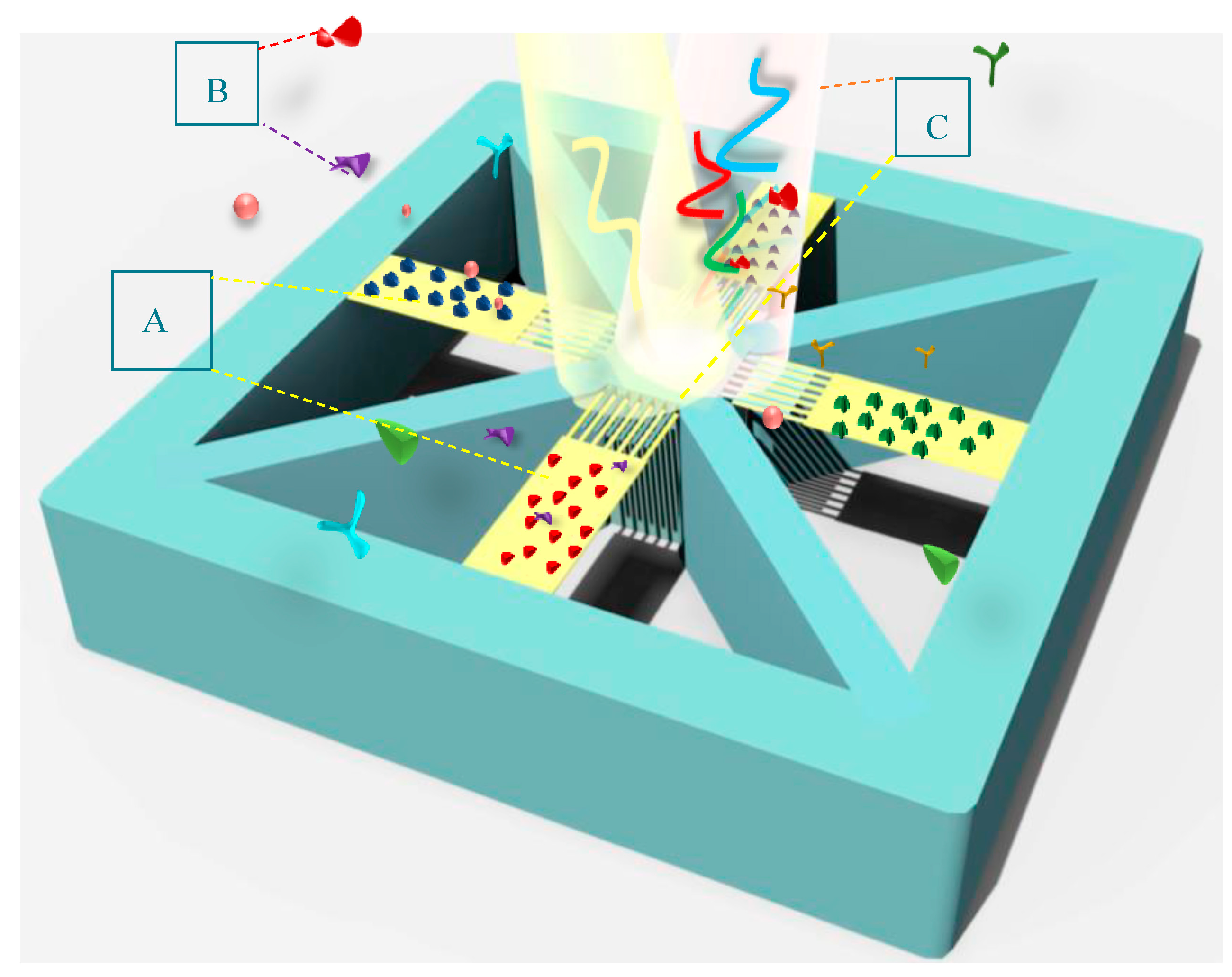 Biosensors 14 00385 g008