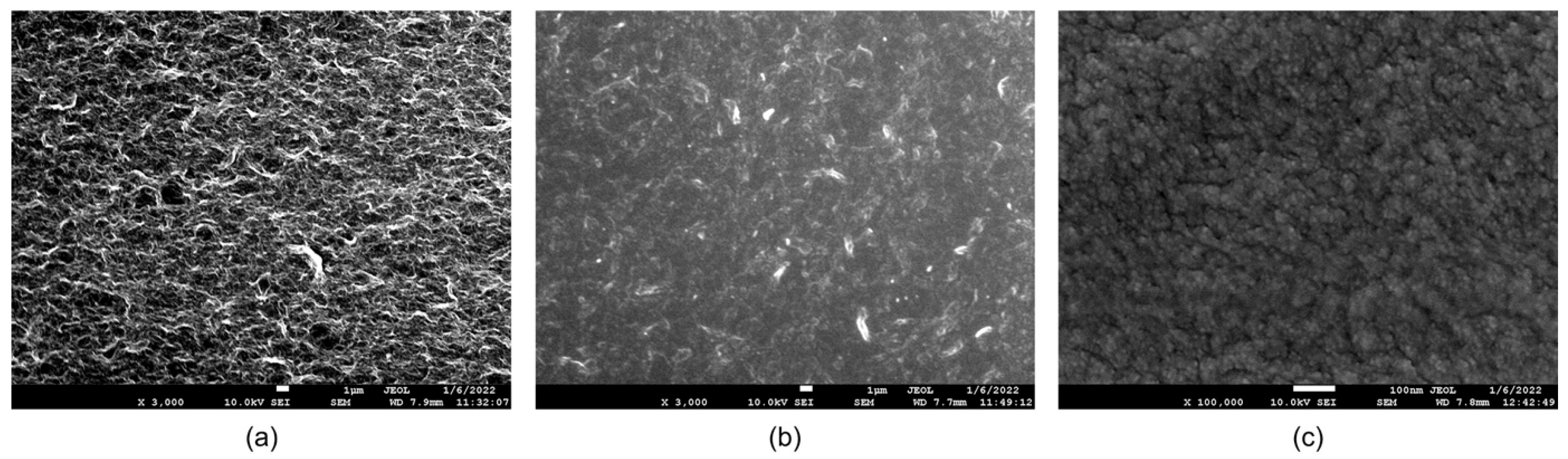 Biosensors 14 00386 g002