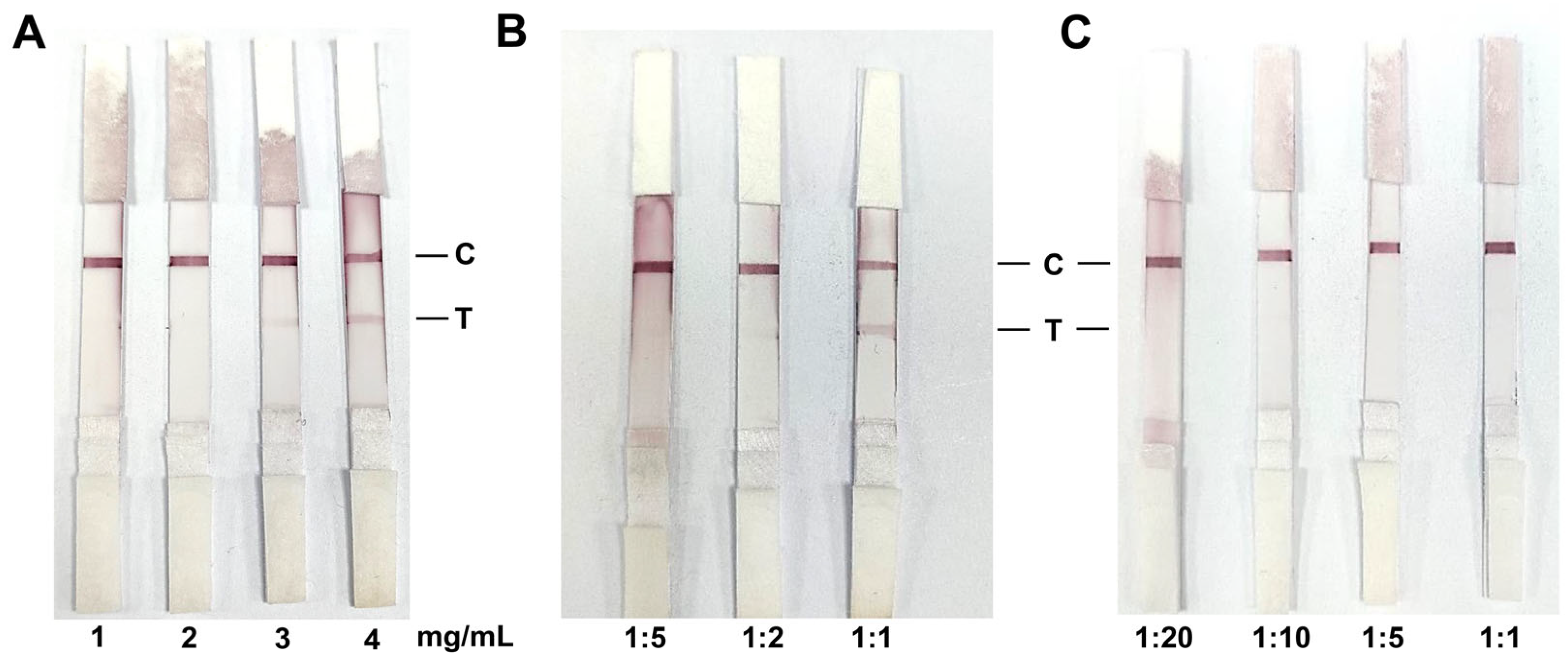 Biosensors 14 00388 g005