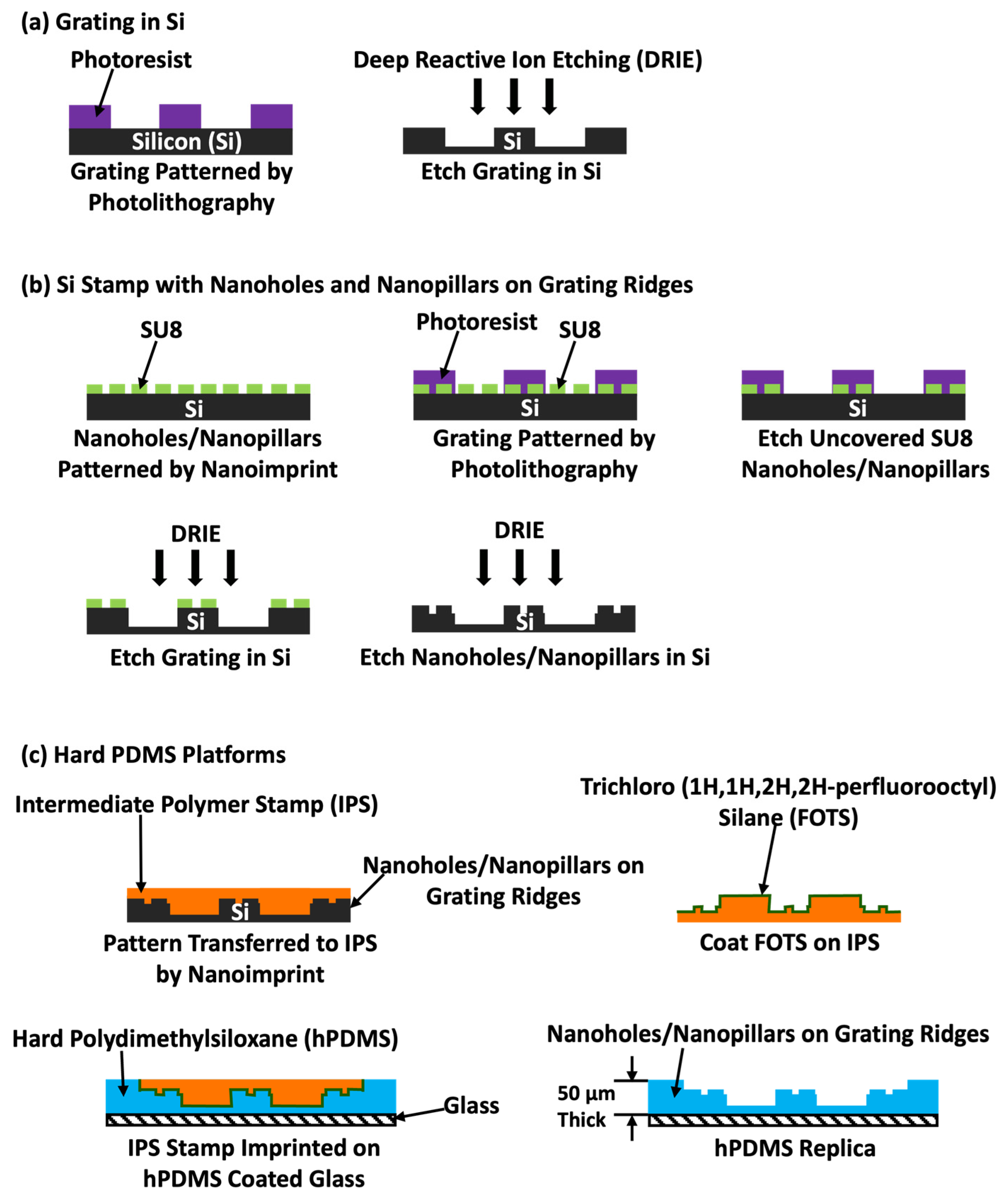 Biosensors 14 00389 g001