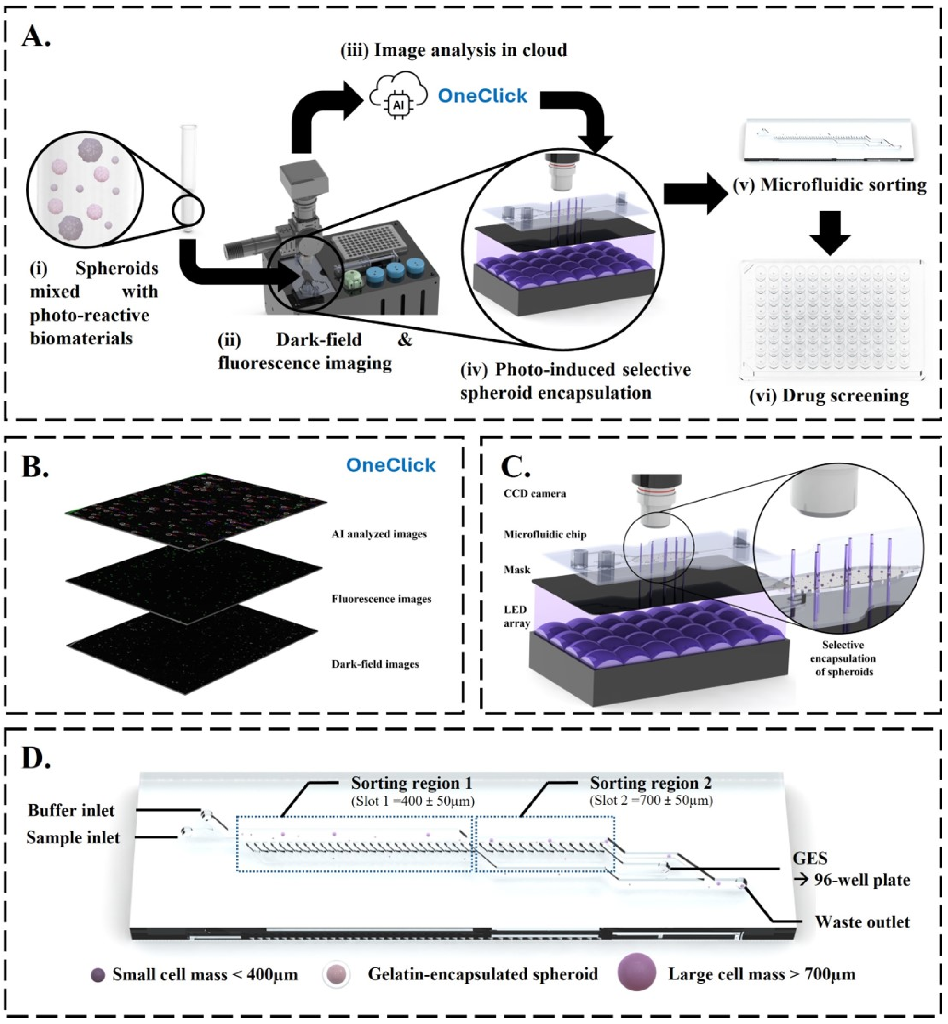 Biosensors 14 00392 sch001