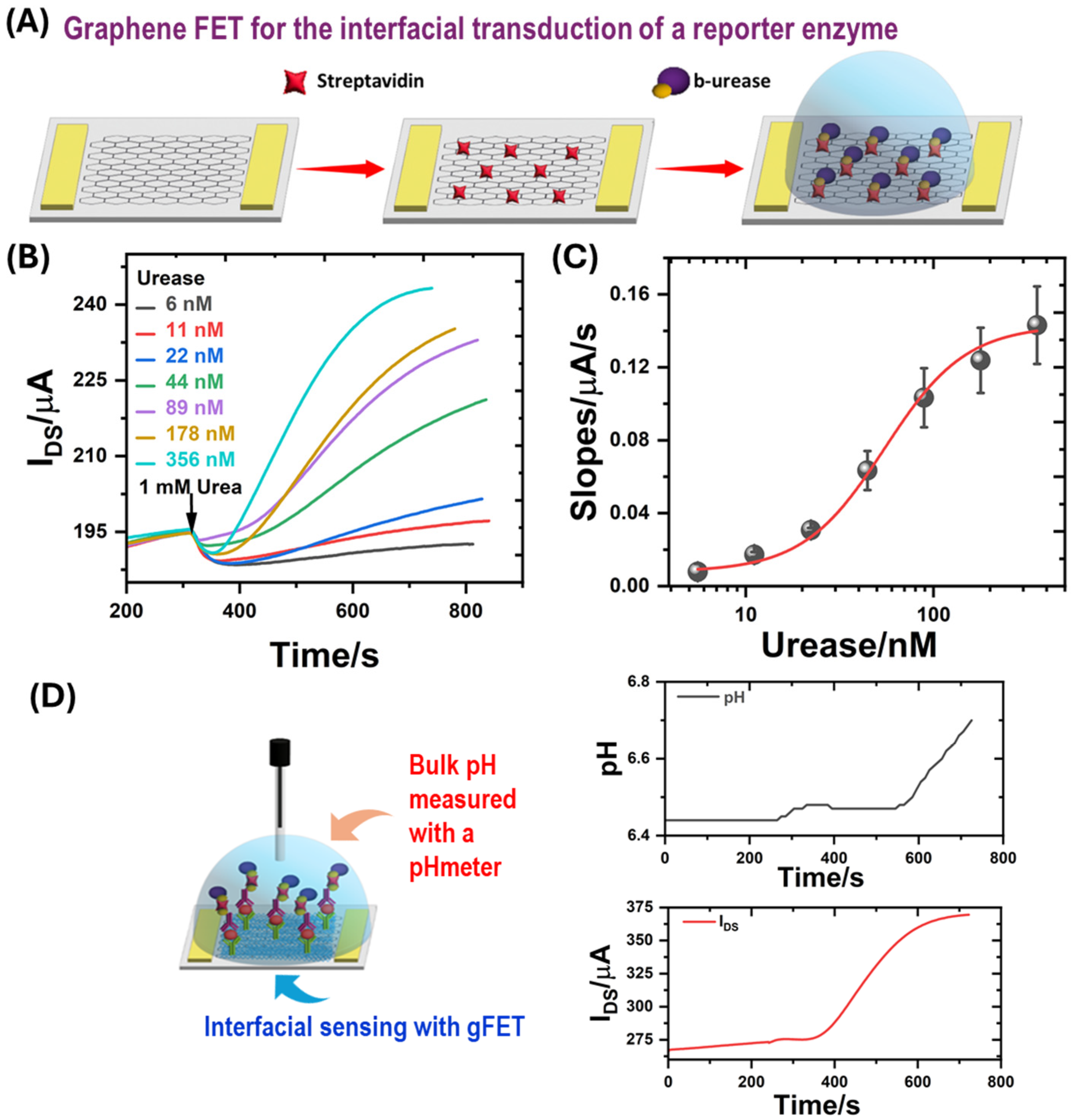 Biosensors 14 00394 g002
