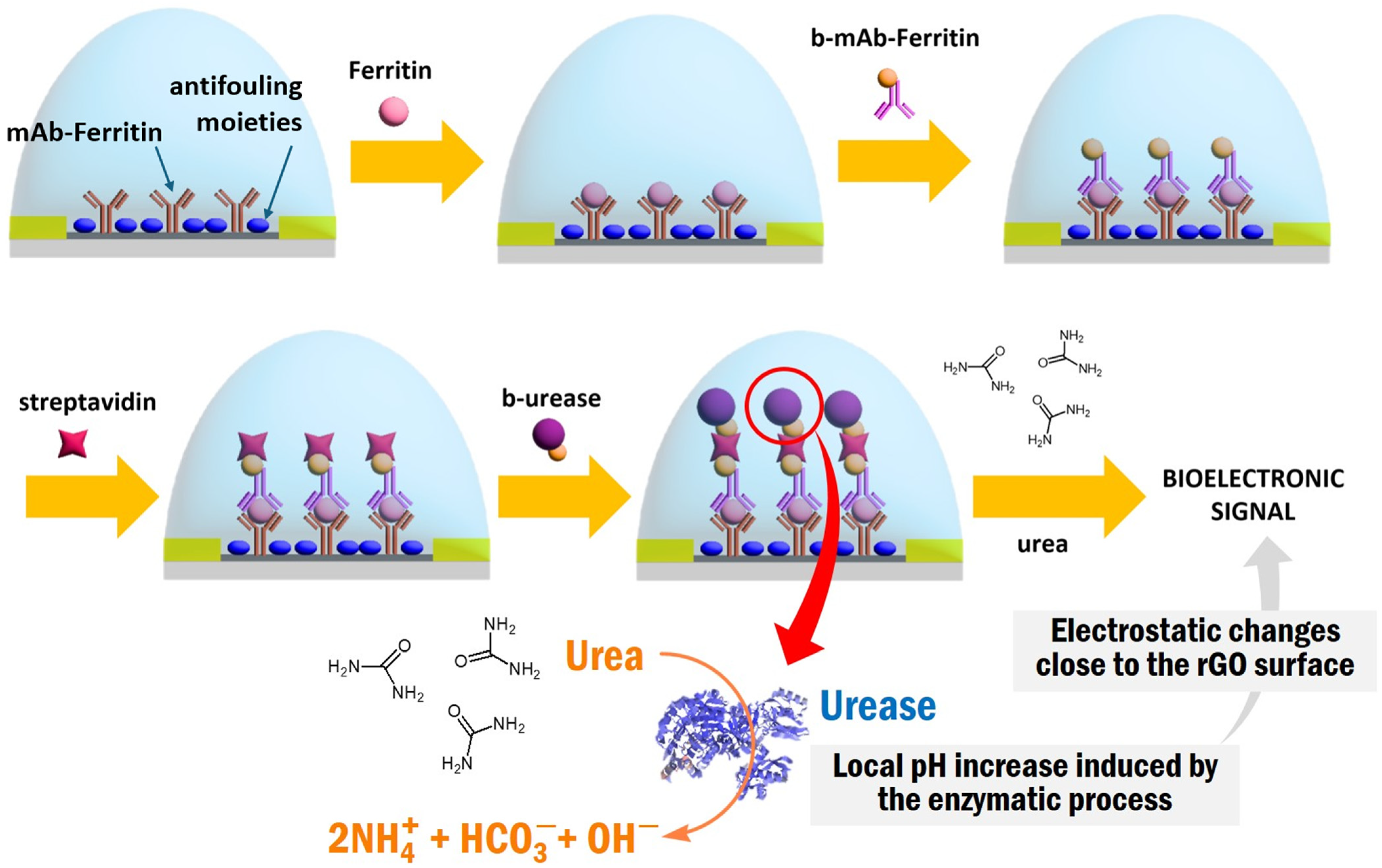 Biosensors 14 00394 g003