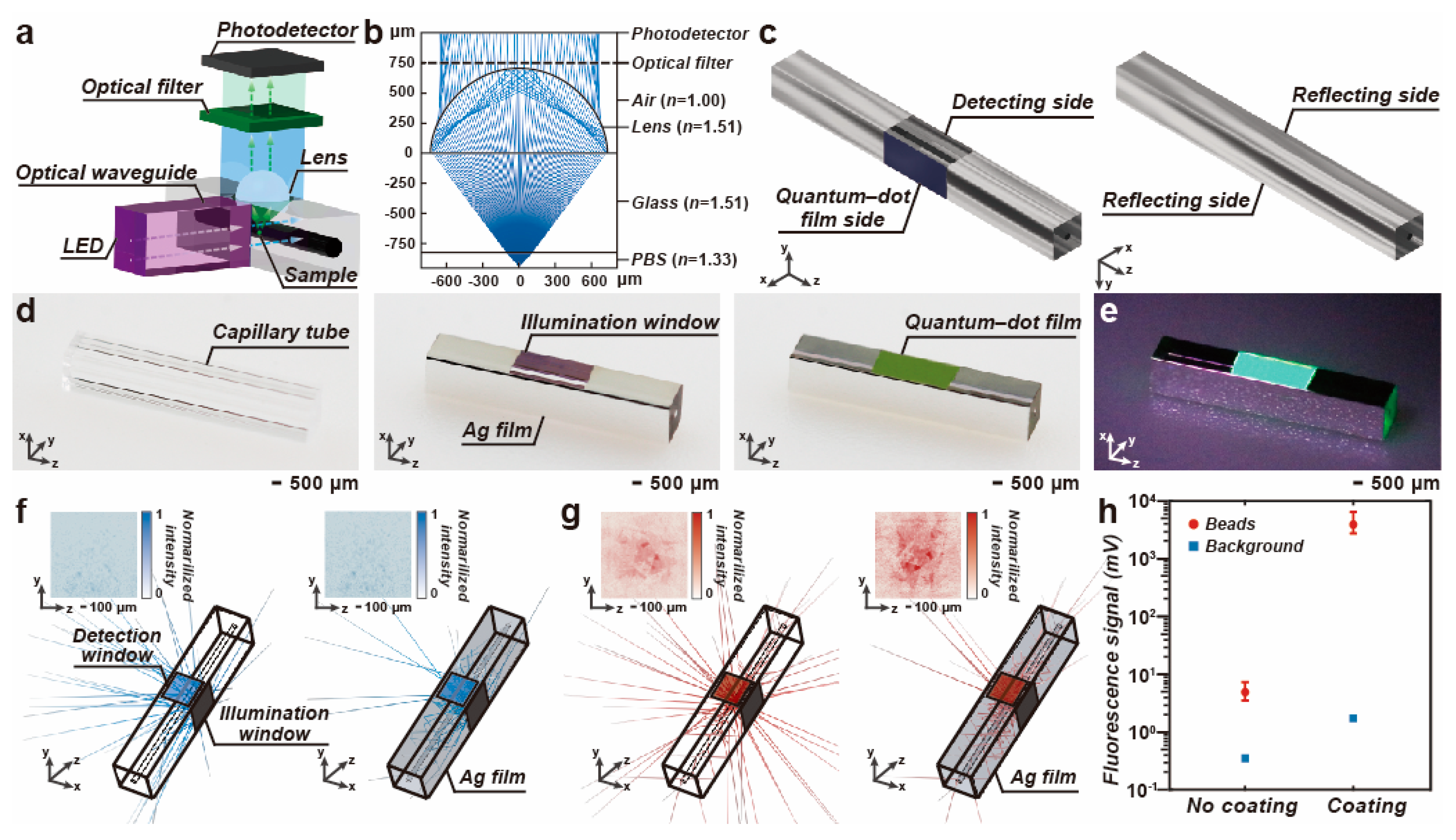 Biosensors 14 00395 g002
