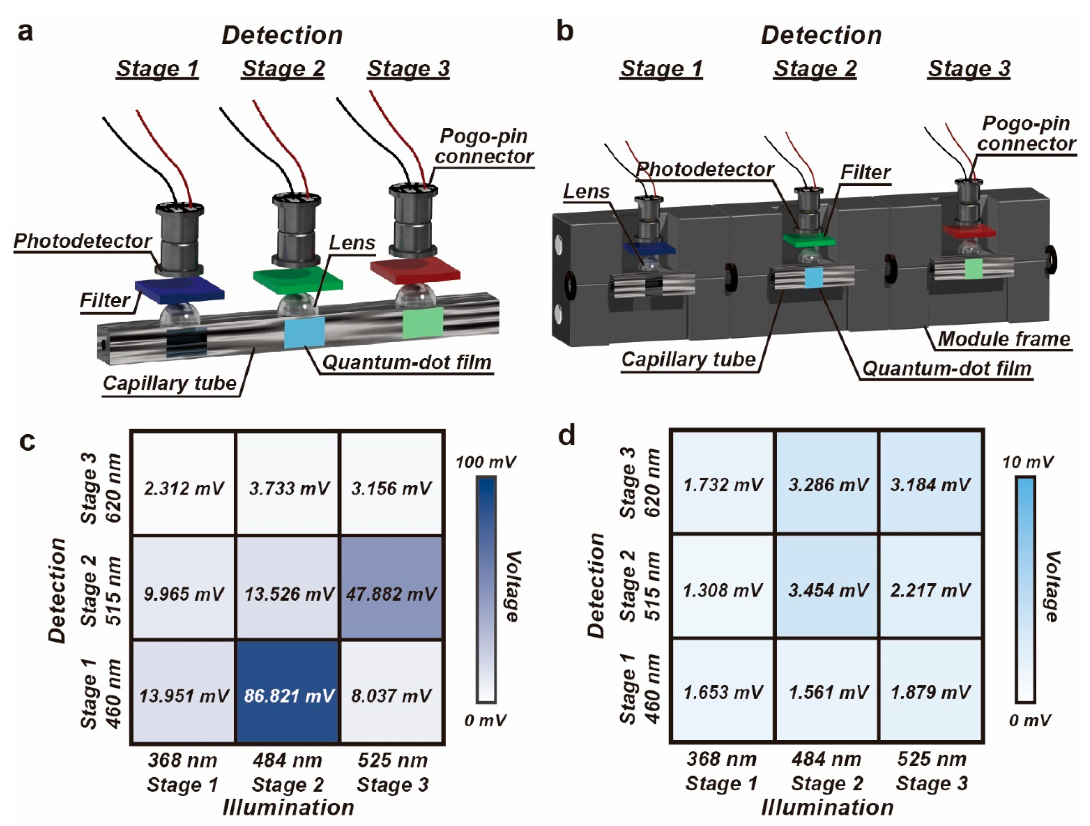 Biosensors 14 00395 g003