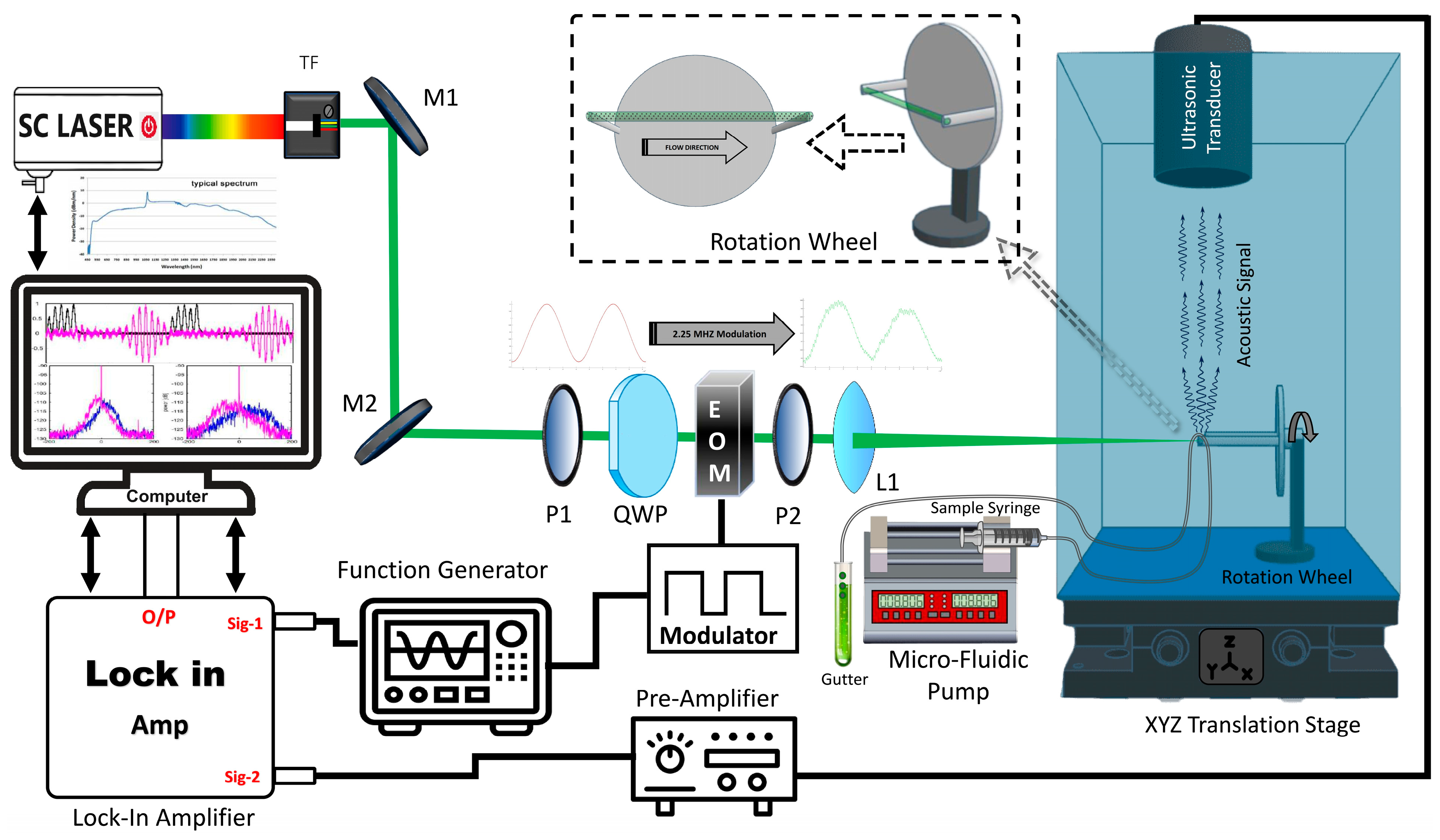 Biosensors 14 00397 g001