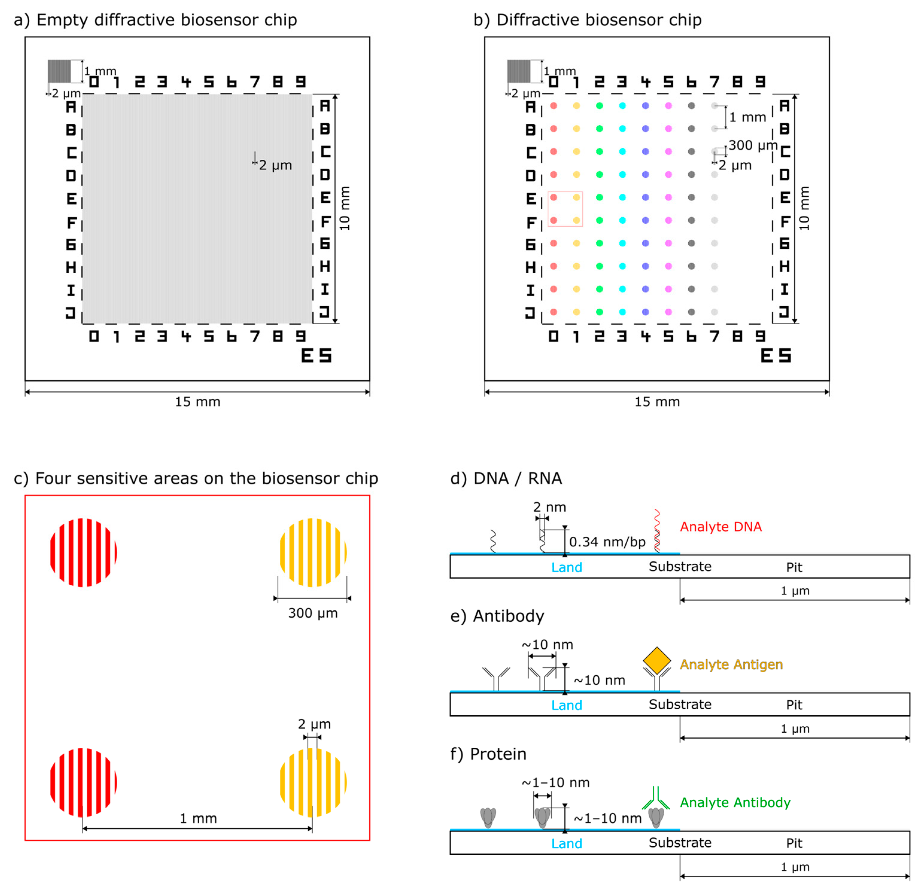 Biosensors 14 00398 g001