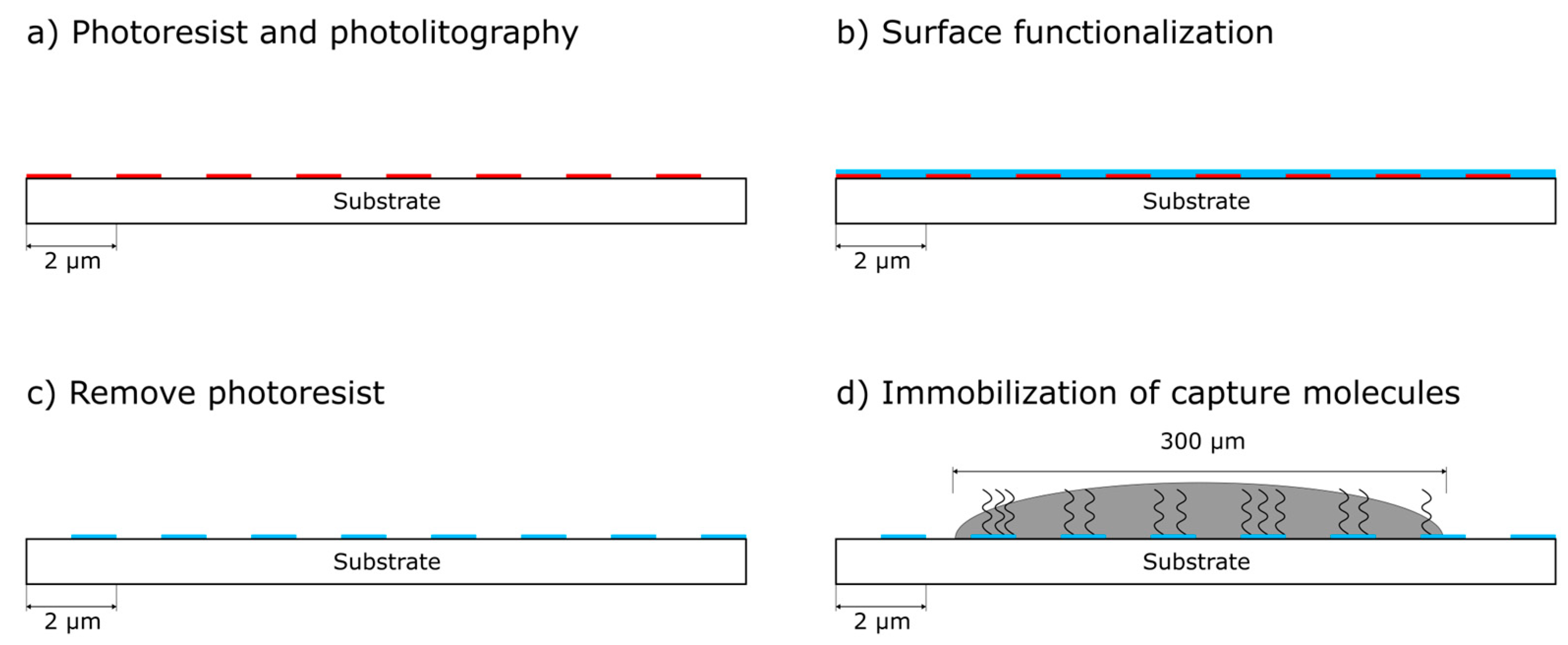 Biosensors 14 00398 g002