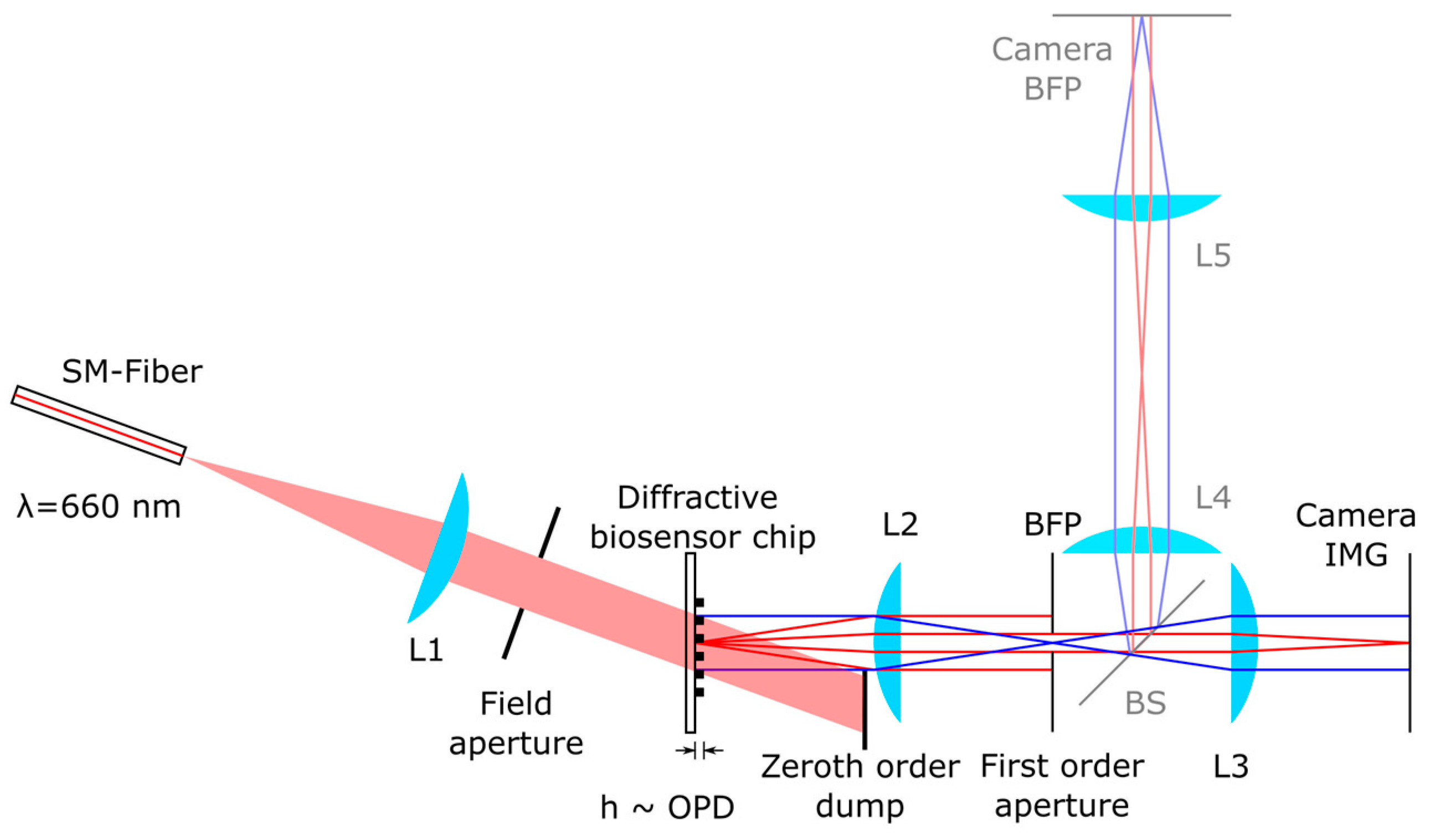 Biosensors 14 00398 g003