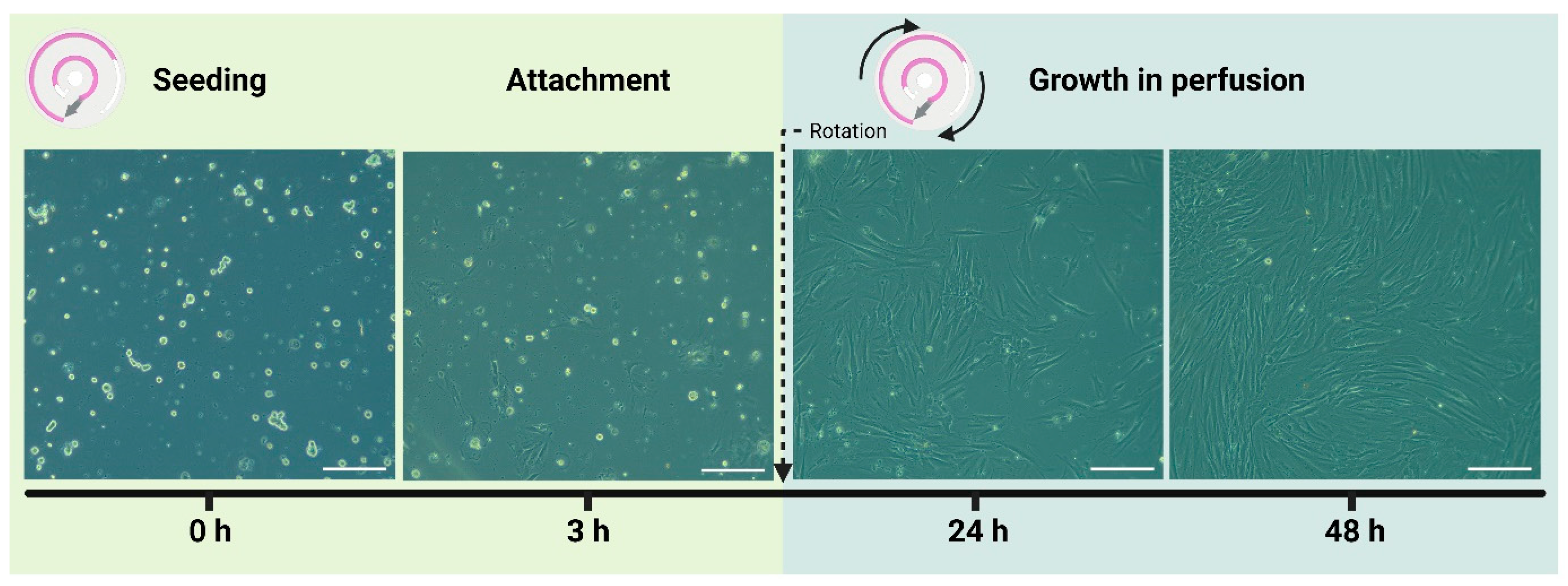 Biosensors 14 00401 g002
