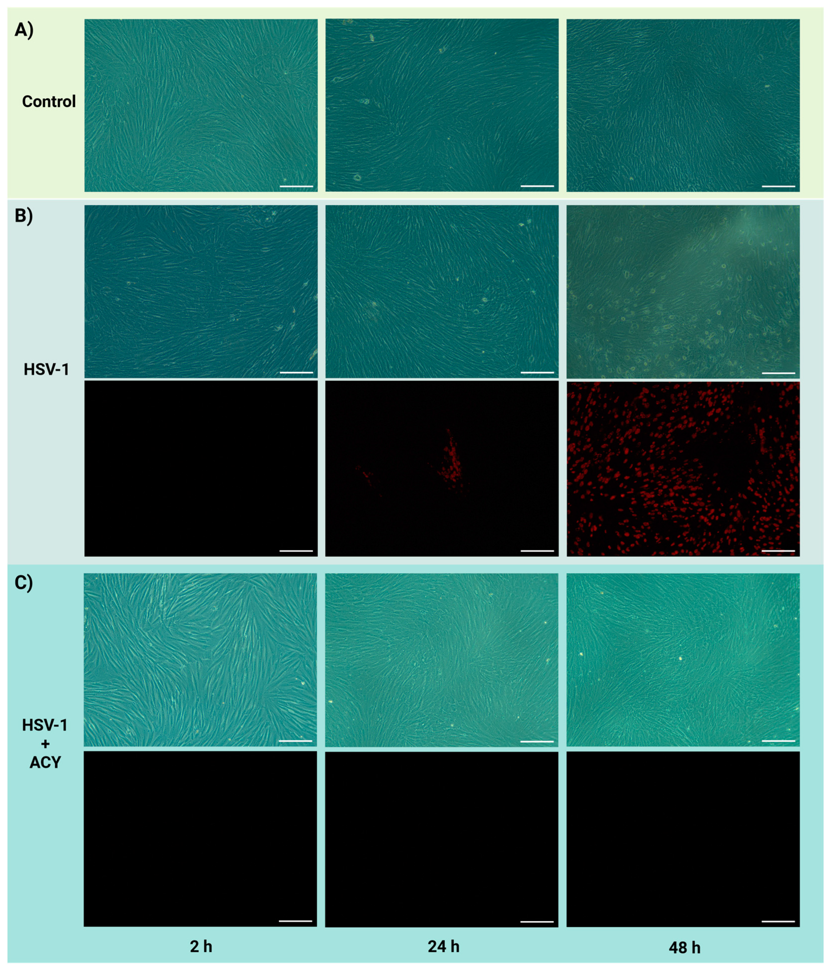 Biosensors 14 00401 g003