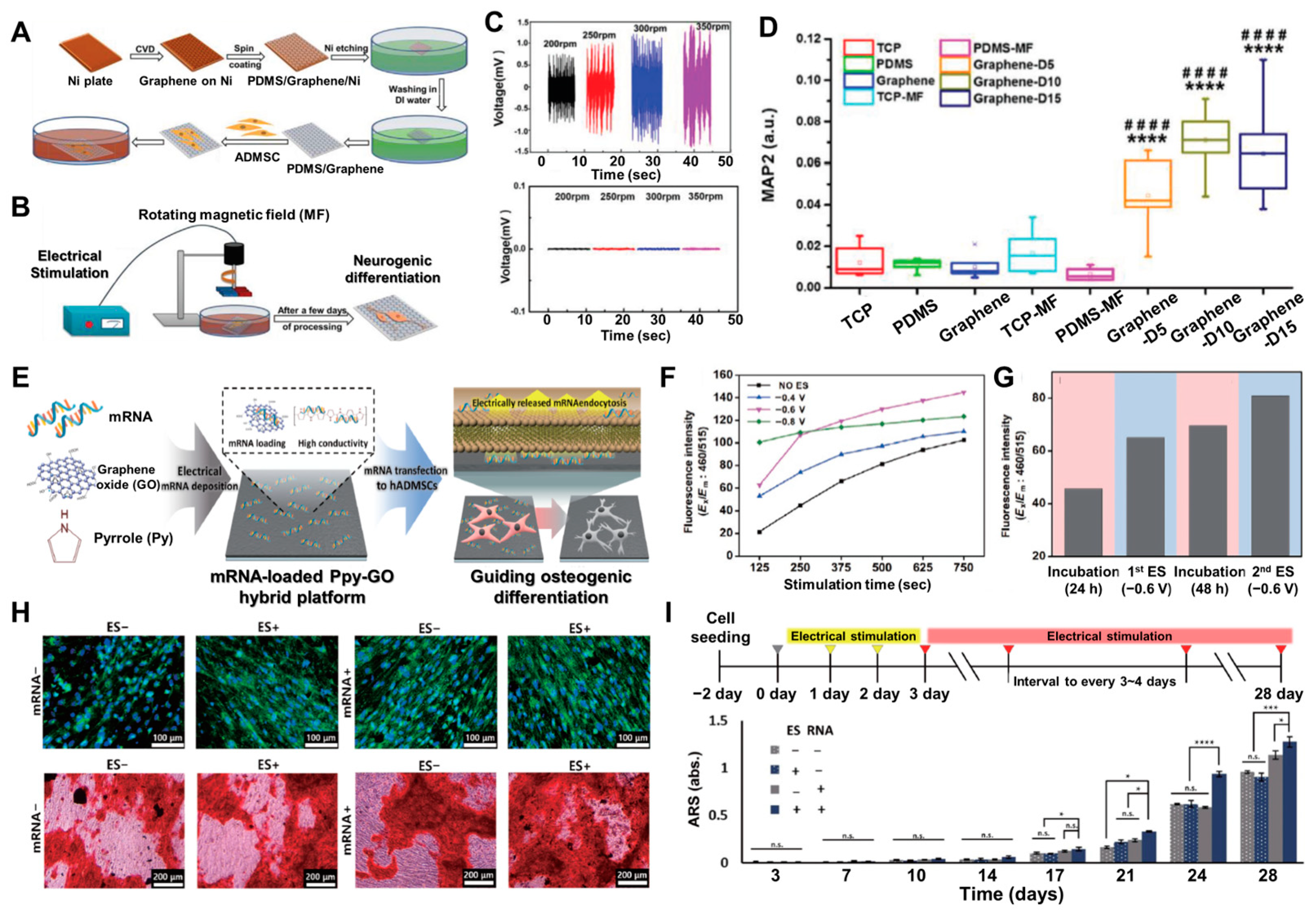 Biosensors 14 00407 g004
