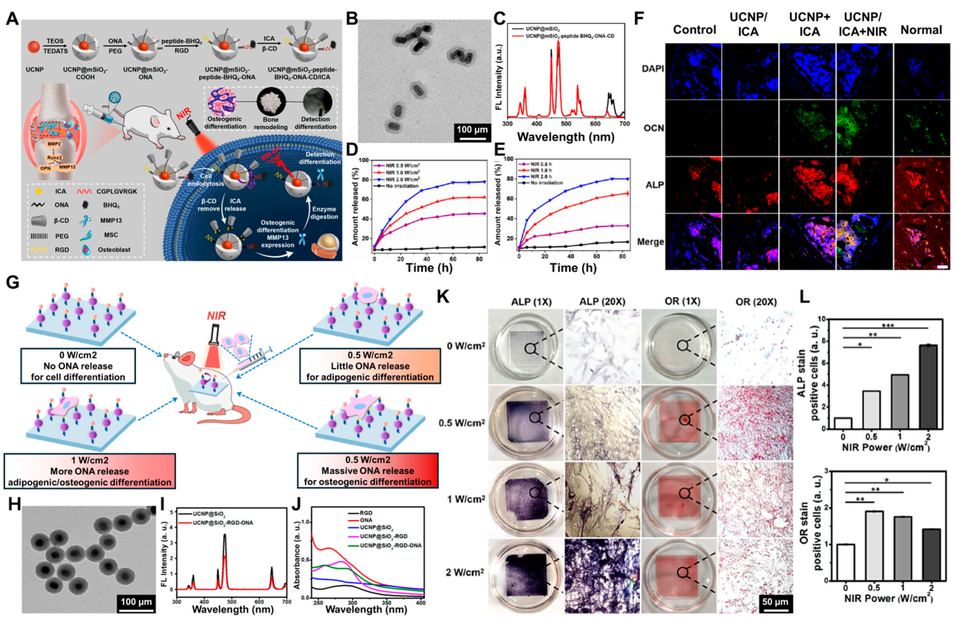 Biosensors 14 00407 g007