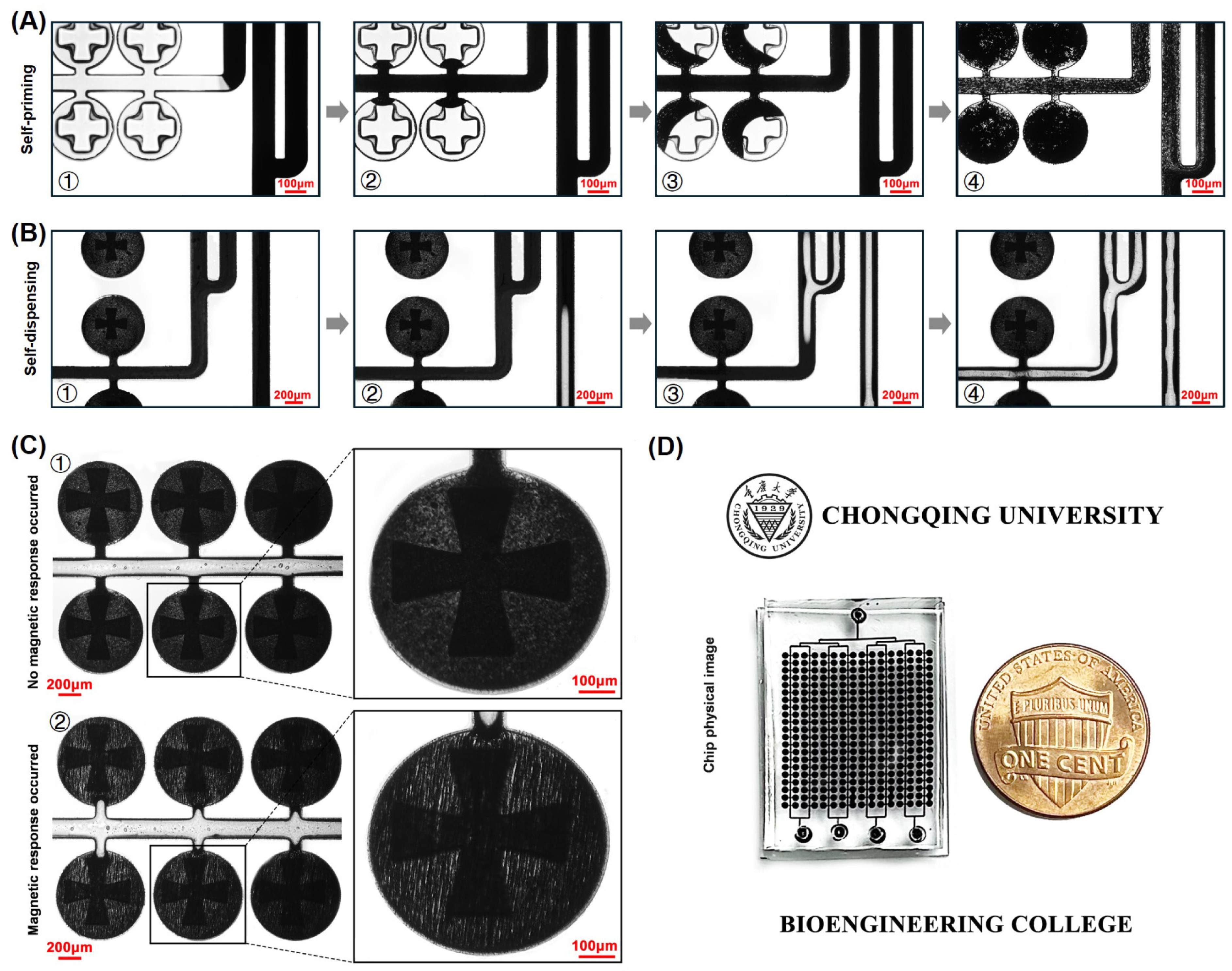 Biosensors 14 00408 g002