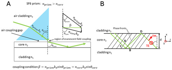 Polarized and Evanescent Guided Wave Surface-Enhanced Raman