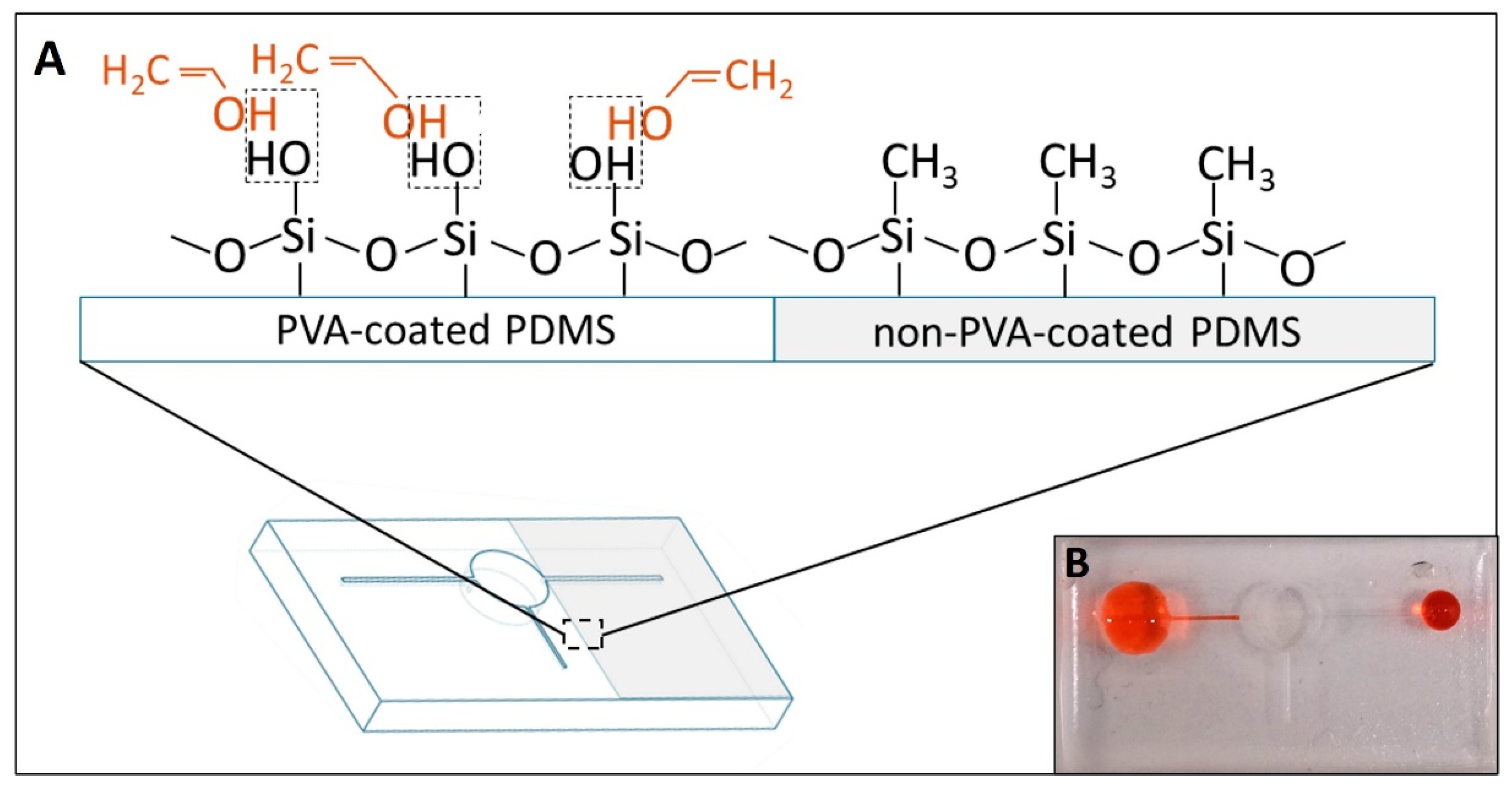 Biosensors 14 00410 g006