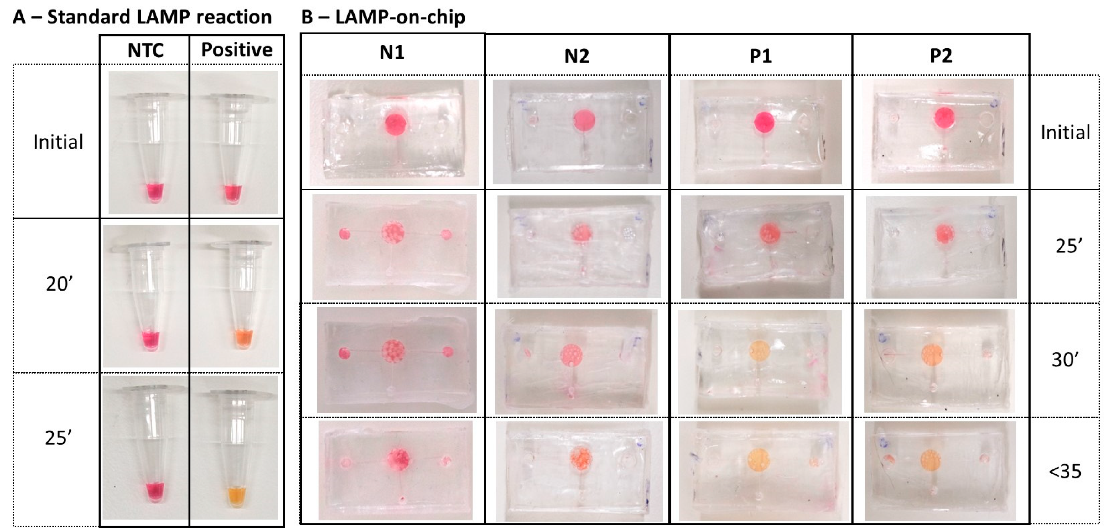 Biosensors 14 00410 g008