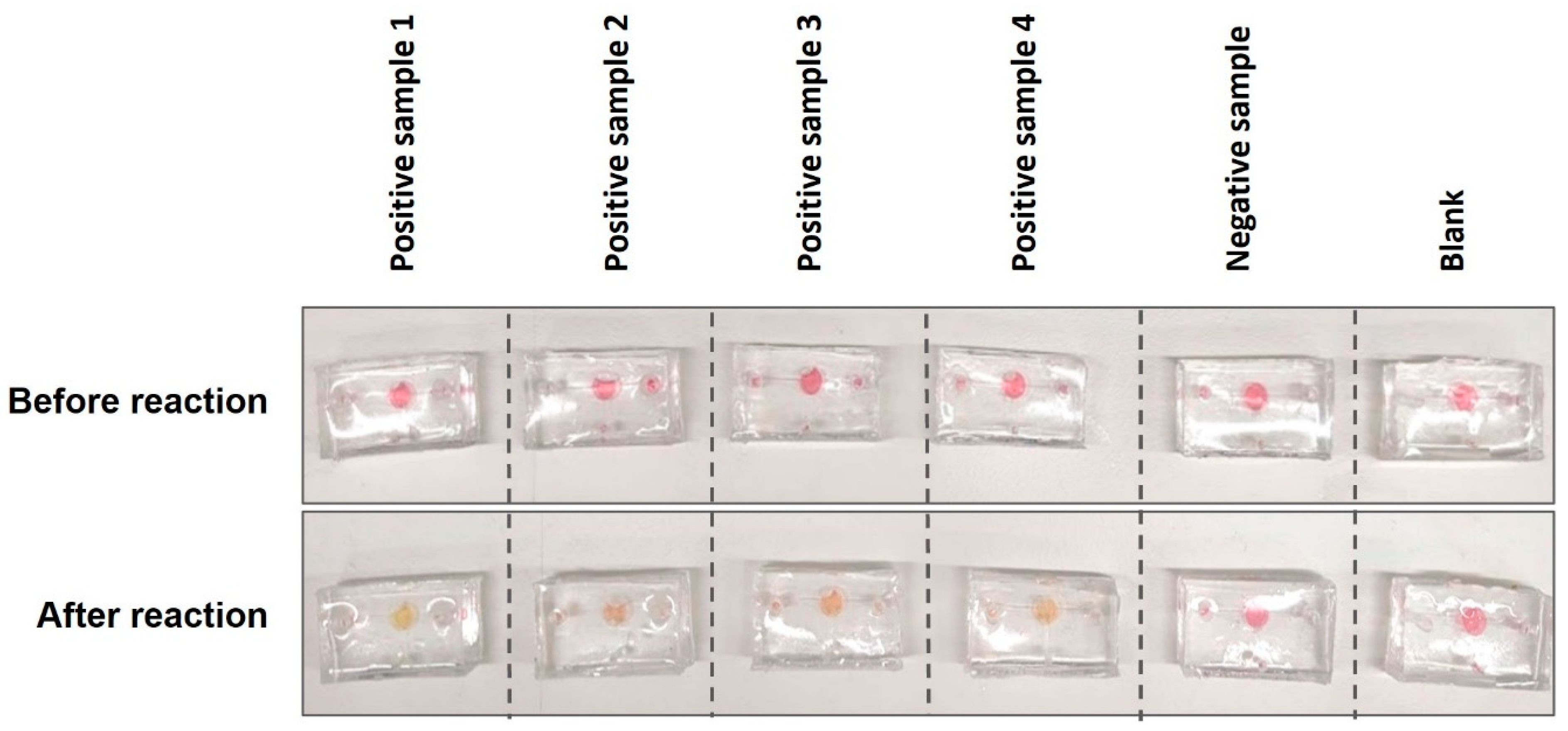 Biosensors 14 00410 g009