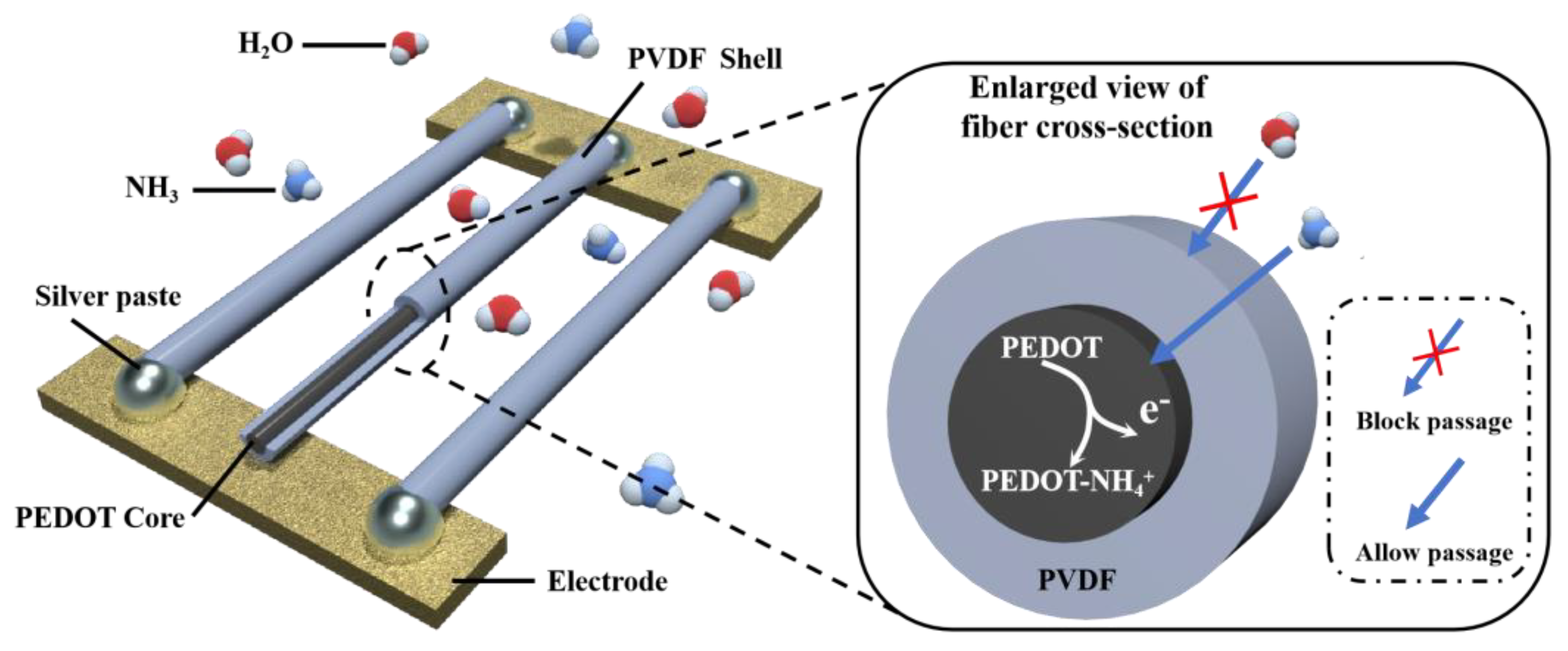 Biosensors 14 00411 g001