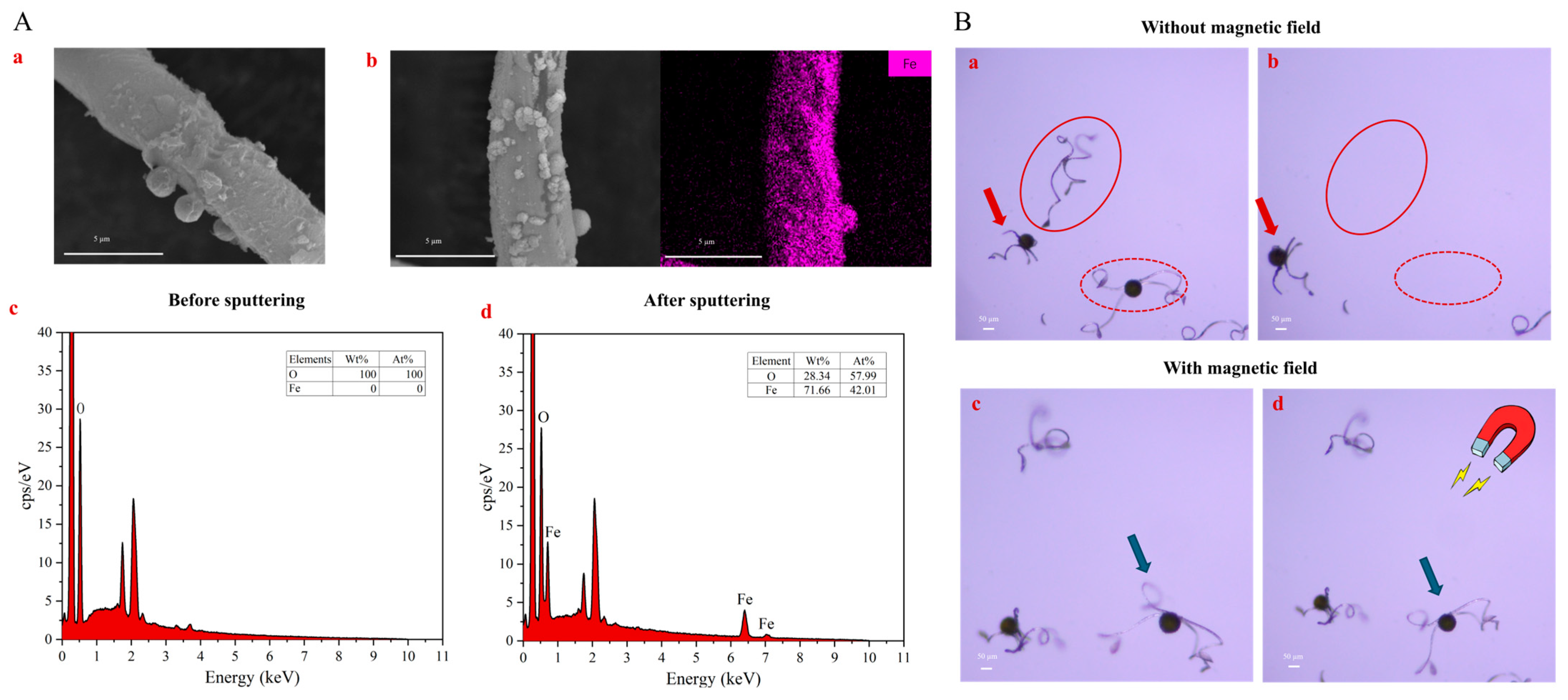 Biosensors 14 00414 g003