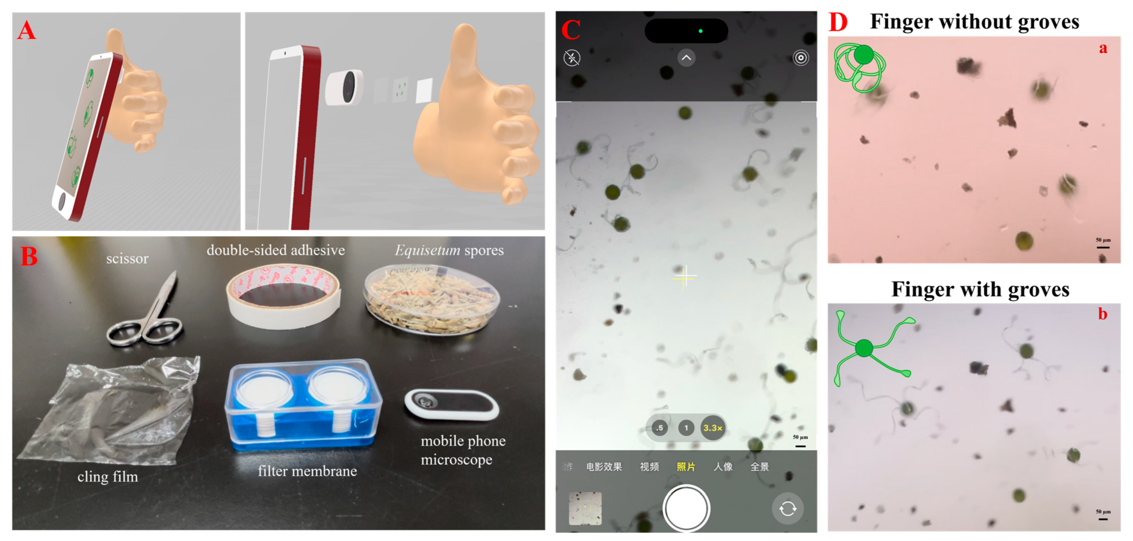 Biosensors 14 00414 g006