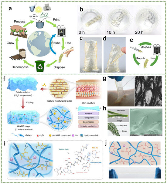 Recent Advances in Natural-Polymer-Based Hydrogels for Body