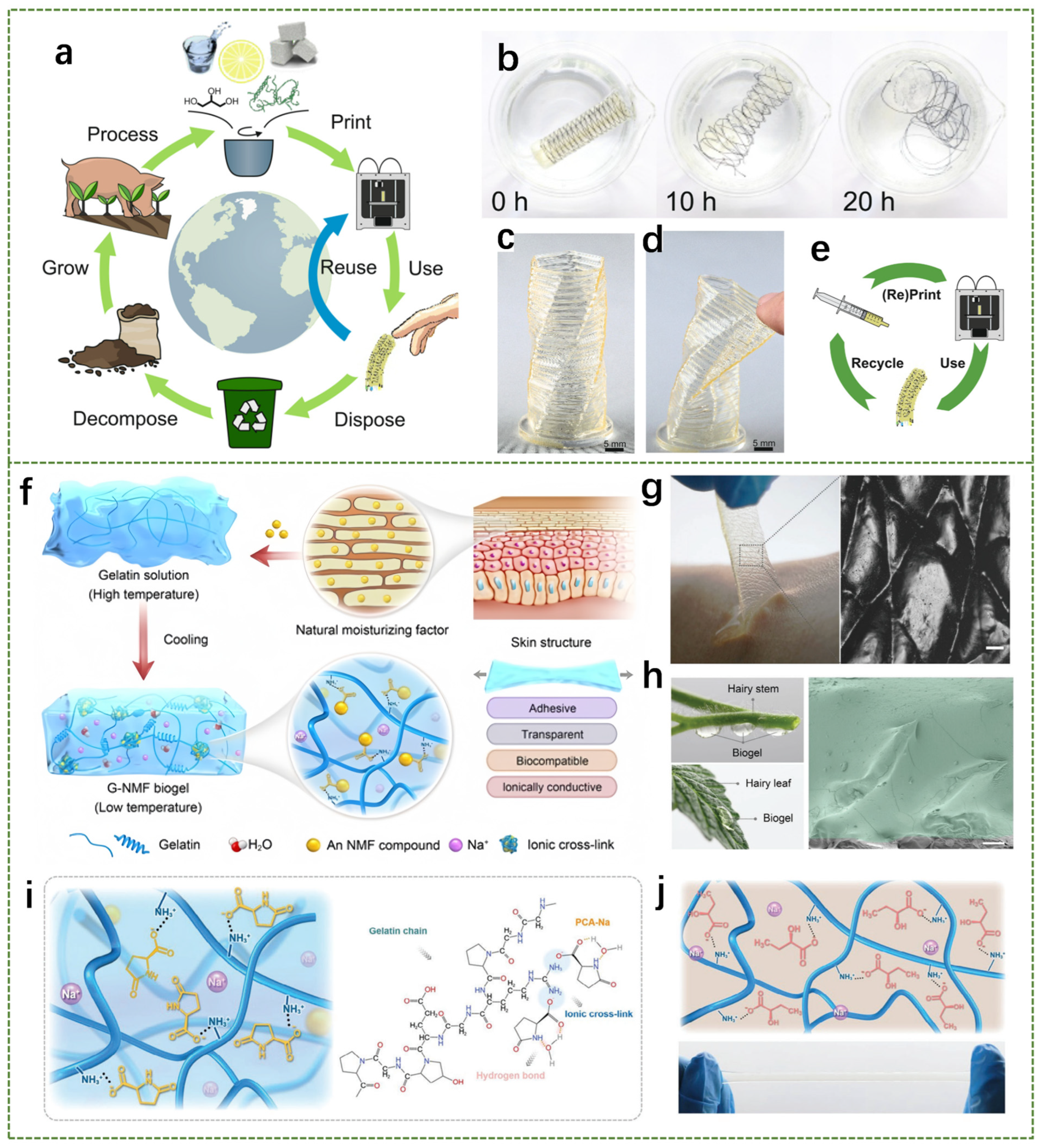 Biosensors 14 00415 g002