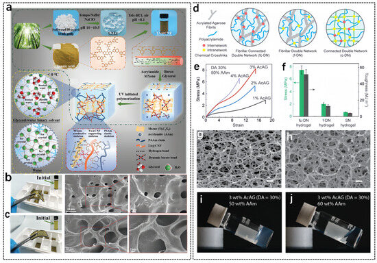 Recent Advances in Natural-Polymer-Based Hydrogels for Body