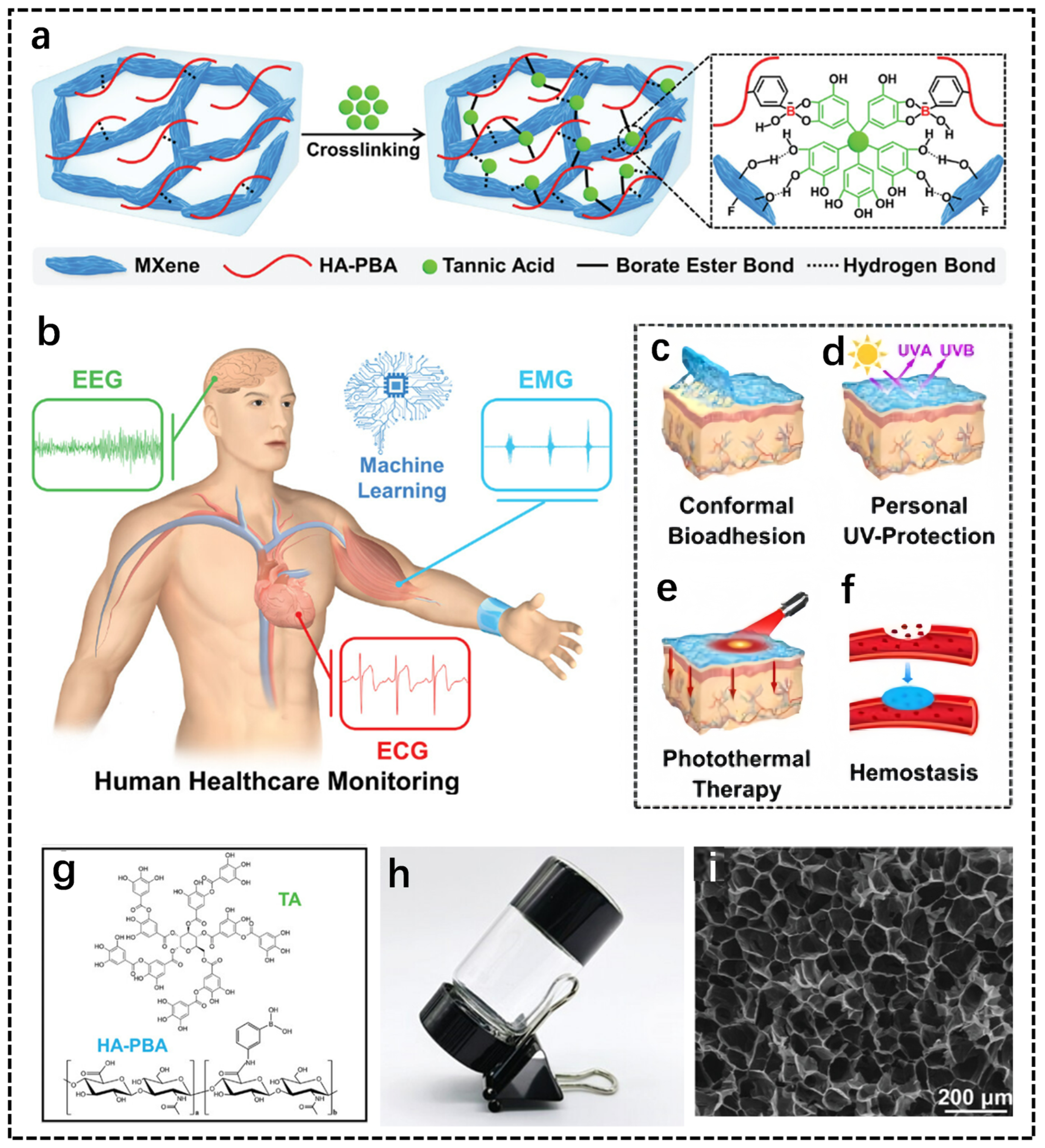 Biosensors 14 00415 g004