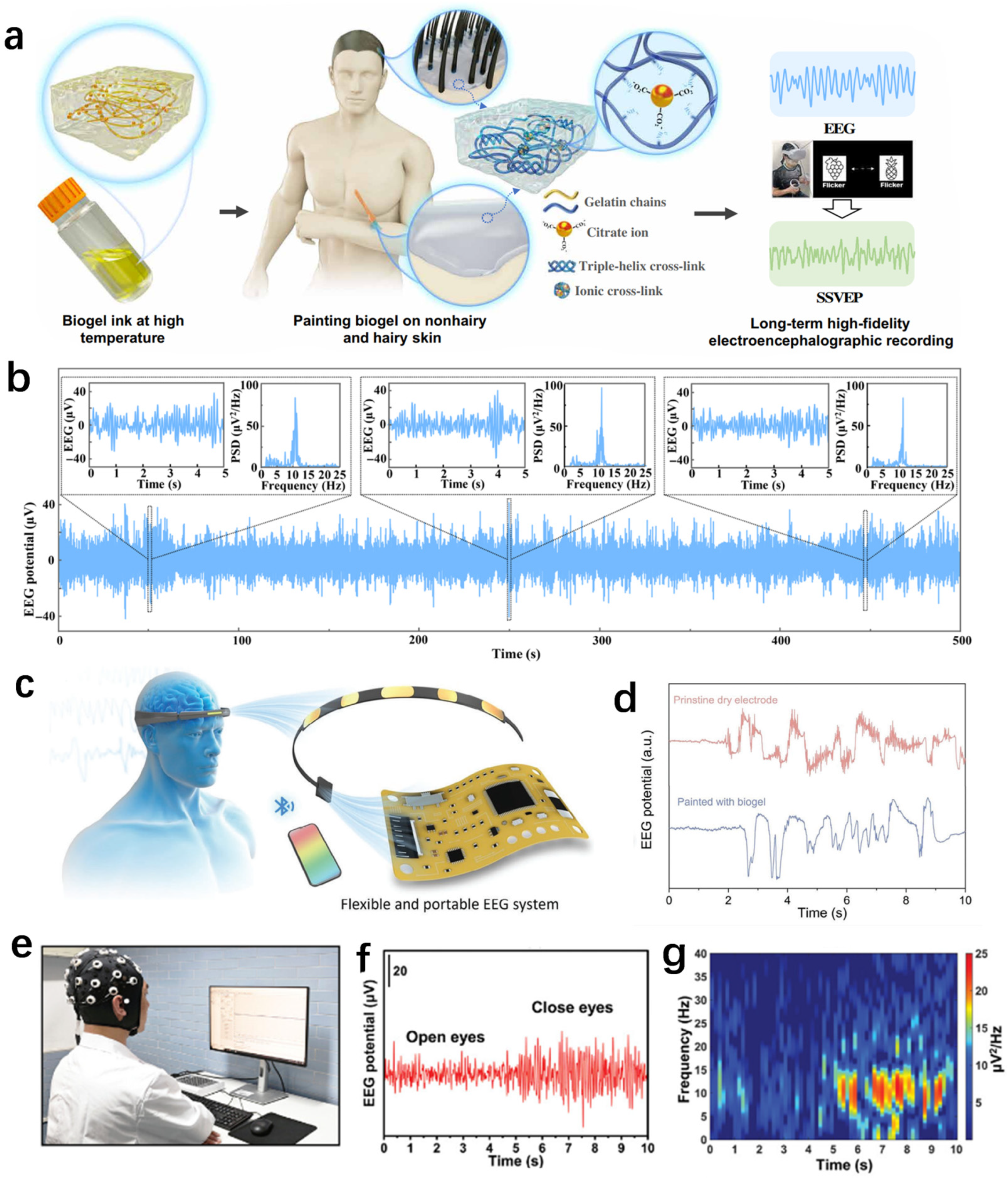 Biosensors 14 00415 g009