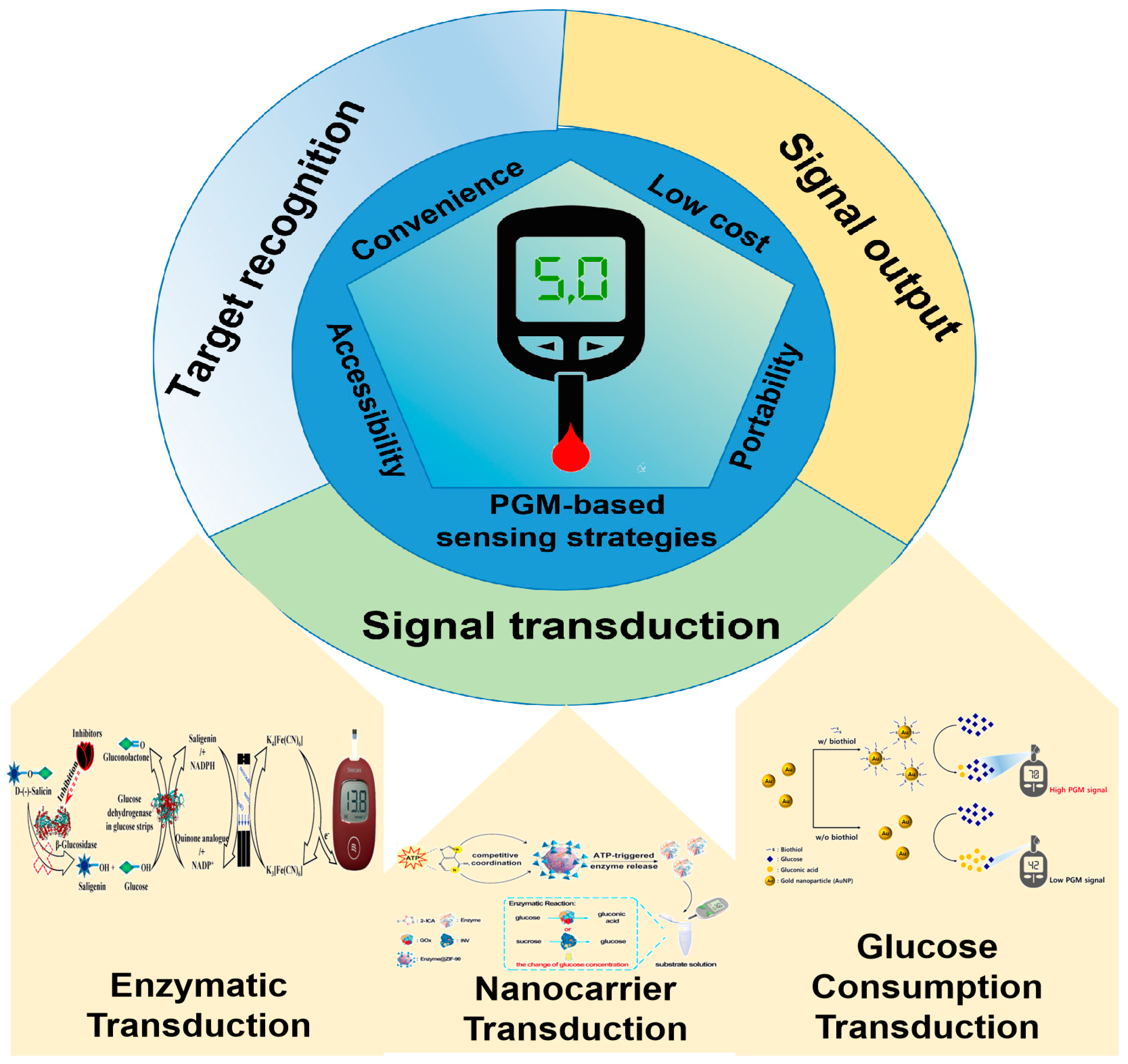 Biosensors 14 00419 g002
