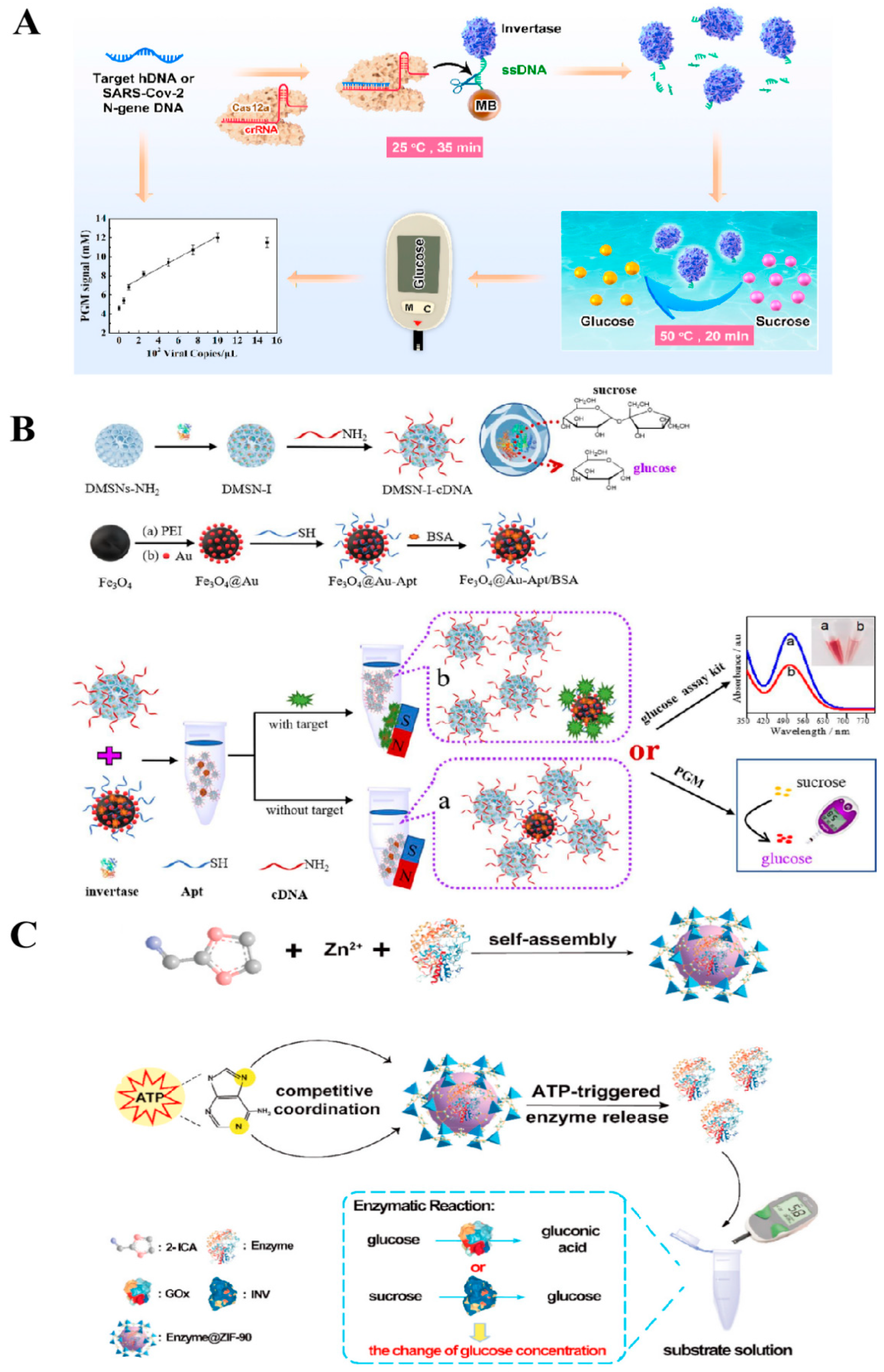 Biosensors 14 00419 g004