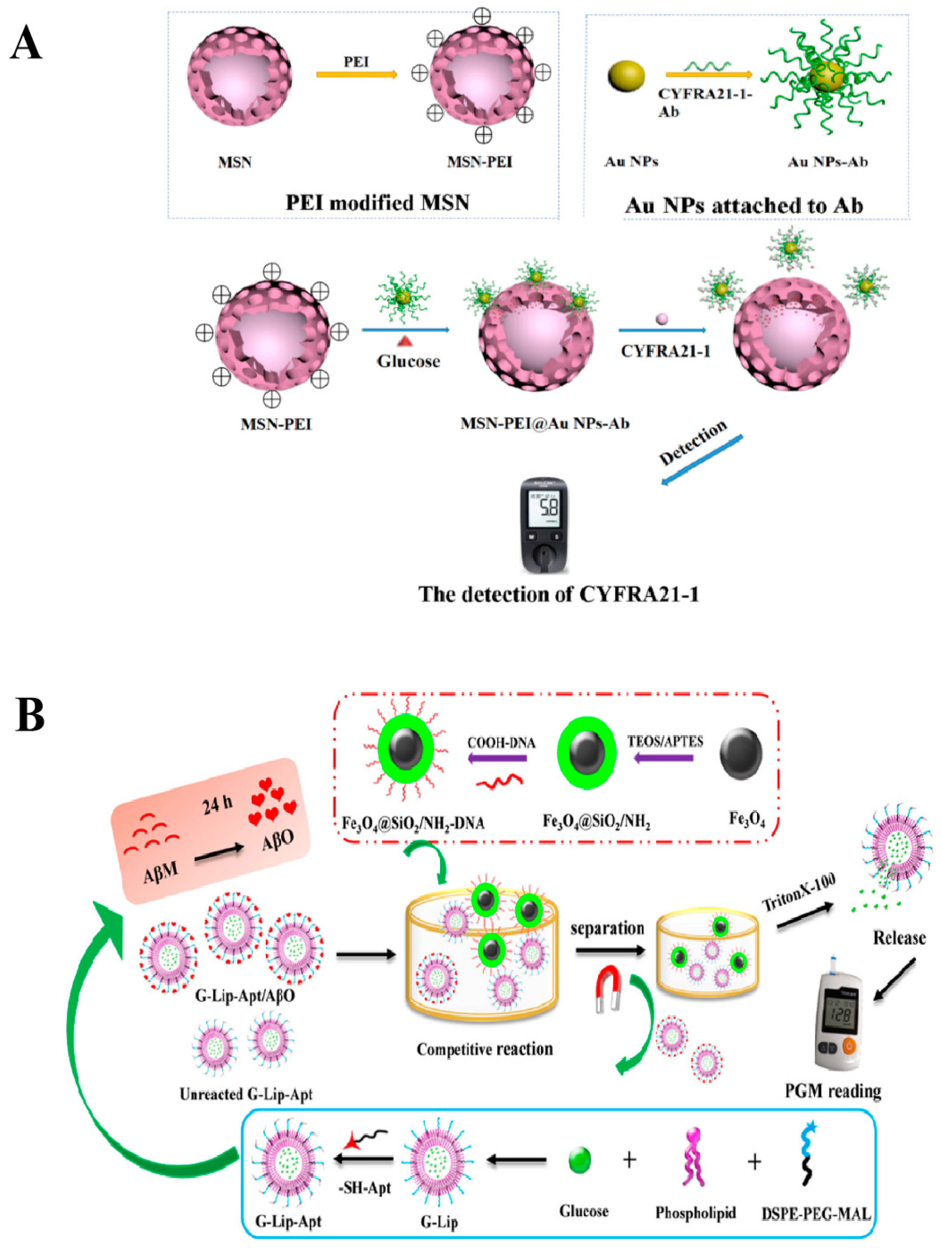 Biosensors 14 00419 g005