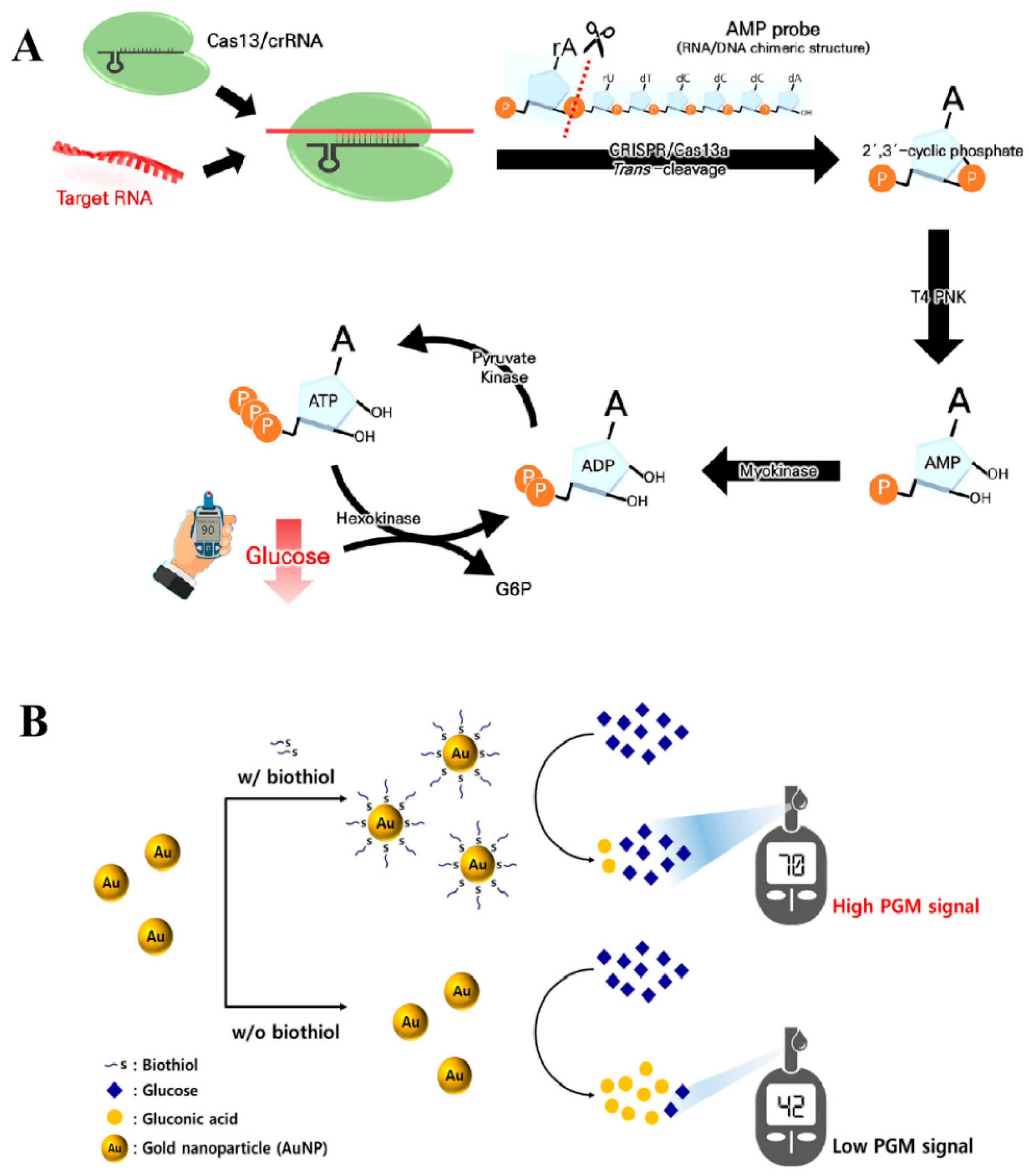 Biosensors 14 00419 g006