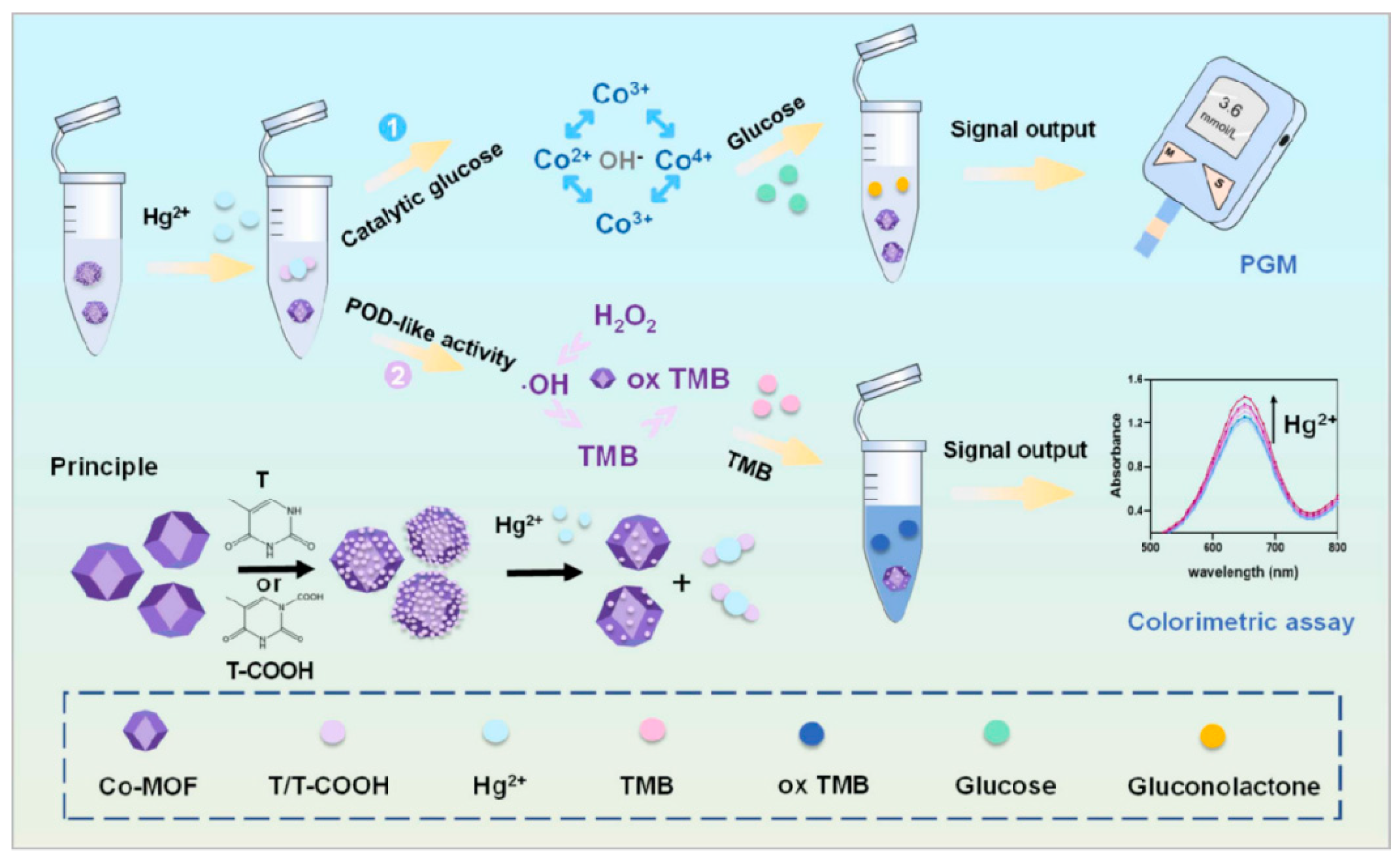 Biosensors 14 00419 g009