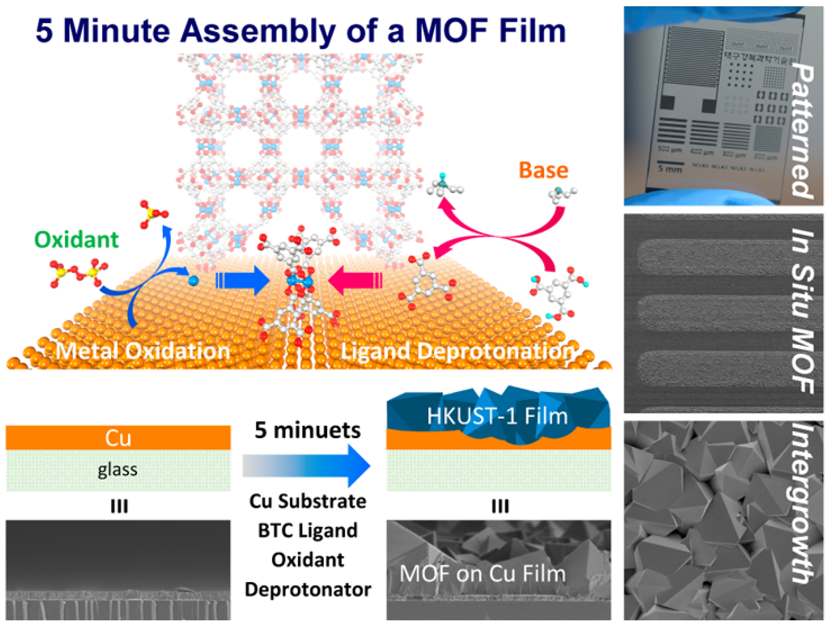 Biosensors 14 00420 g006