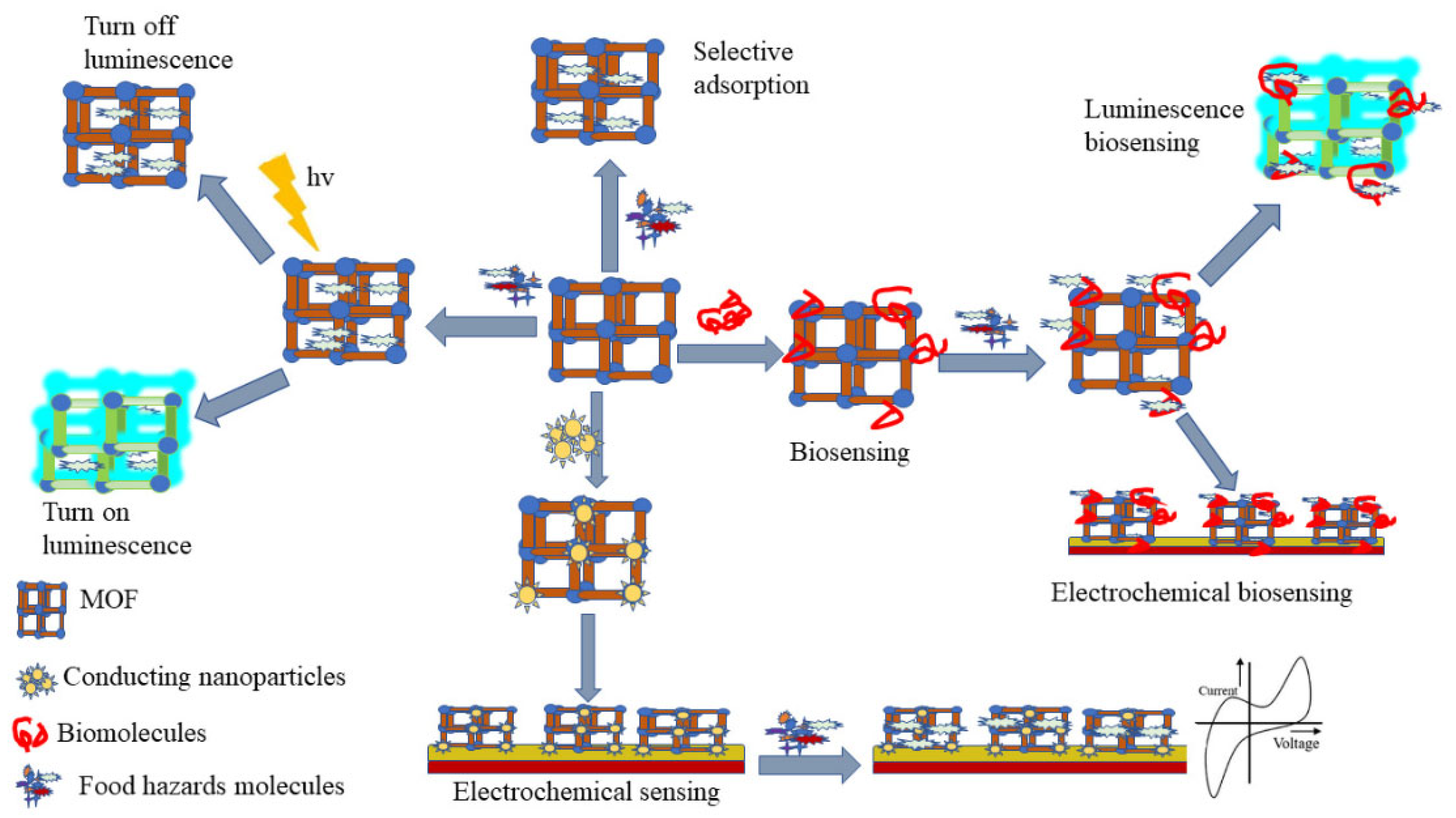 Biosensors 14 00420 g012