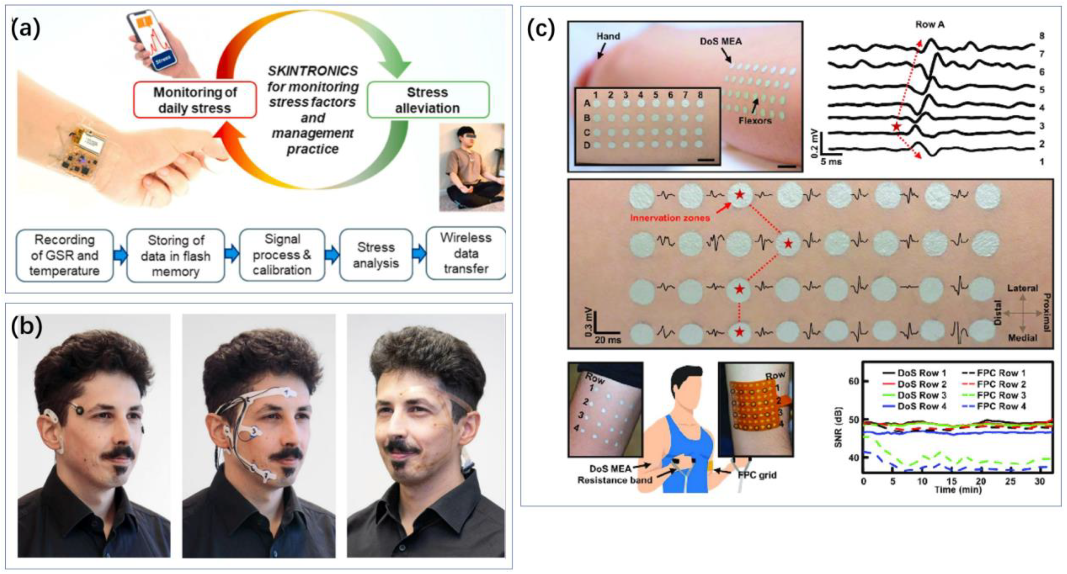 Biosensors 14 00422 g012