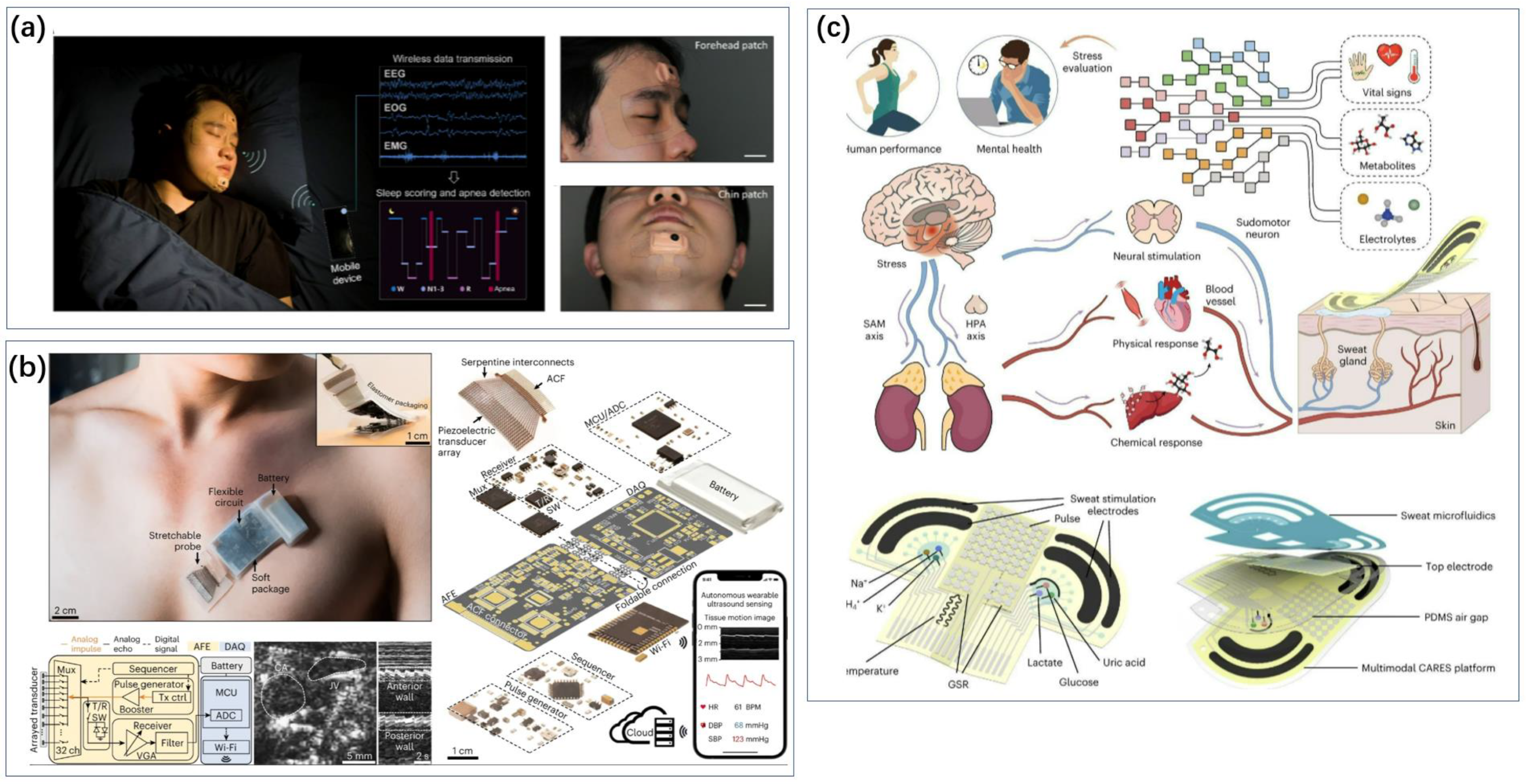Biosensors 14 00422 g014