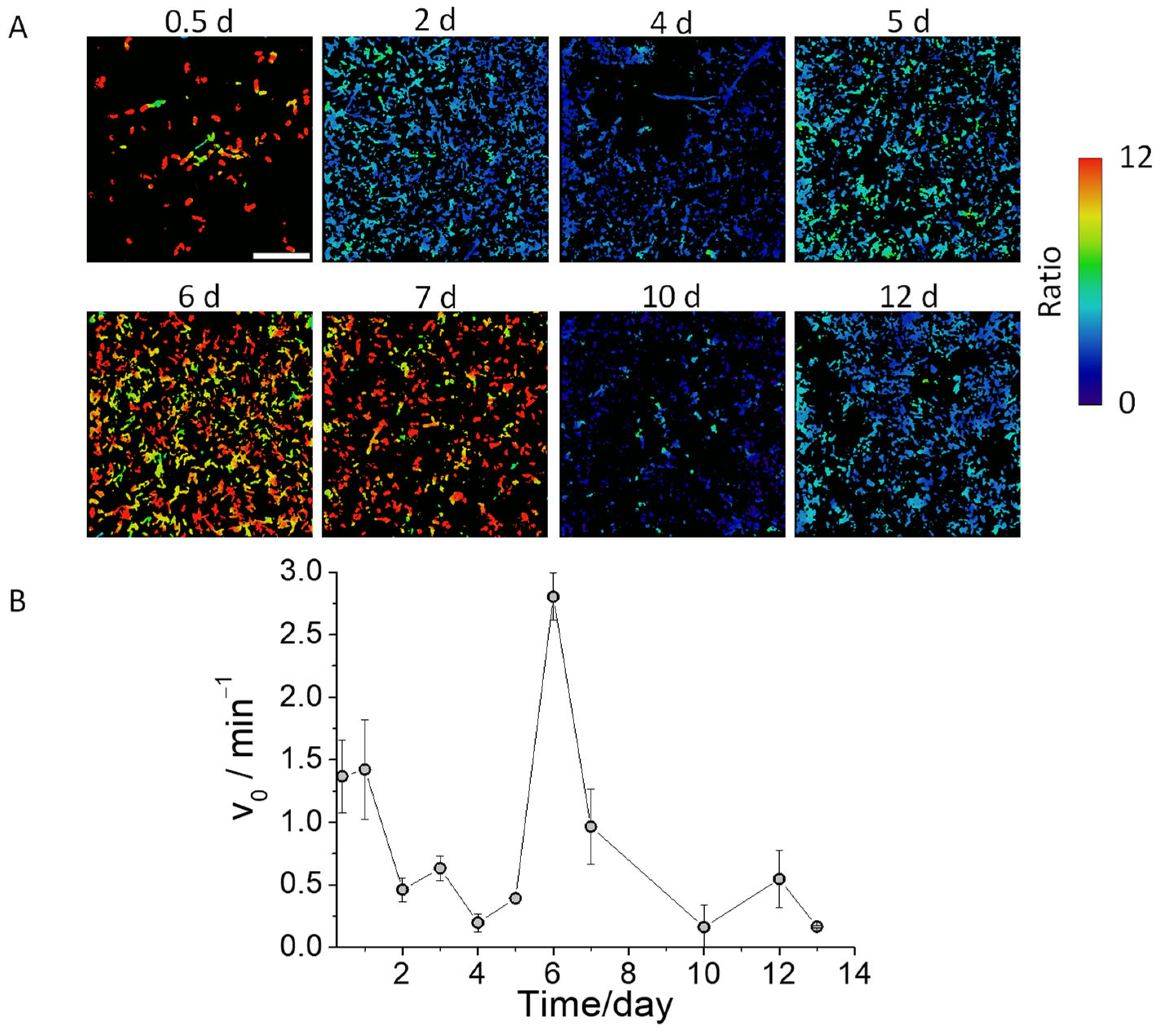 Biosensors 14 00424 g005