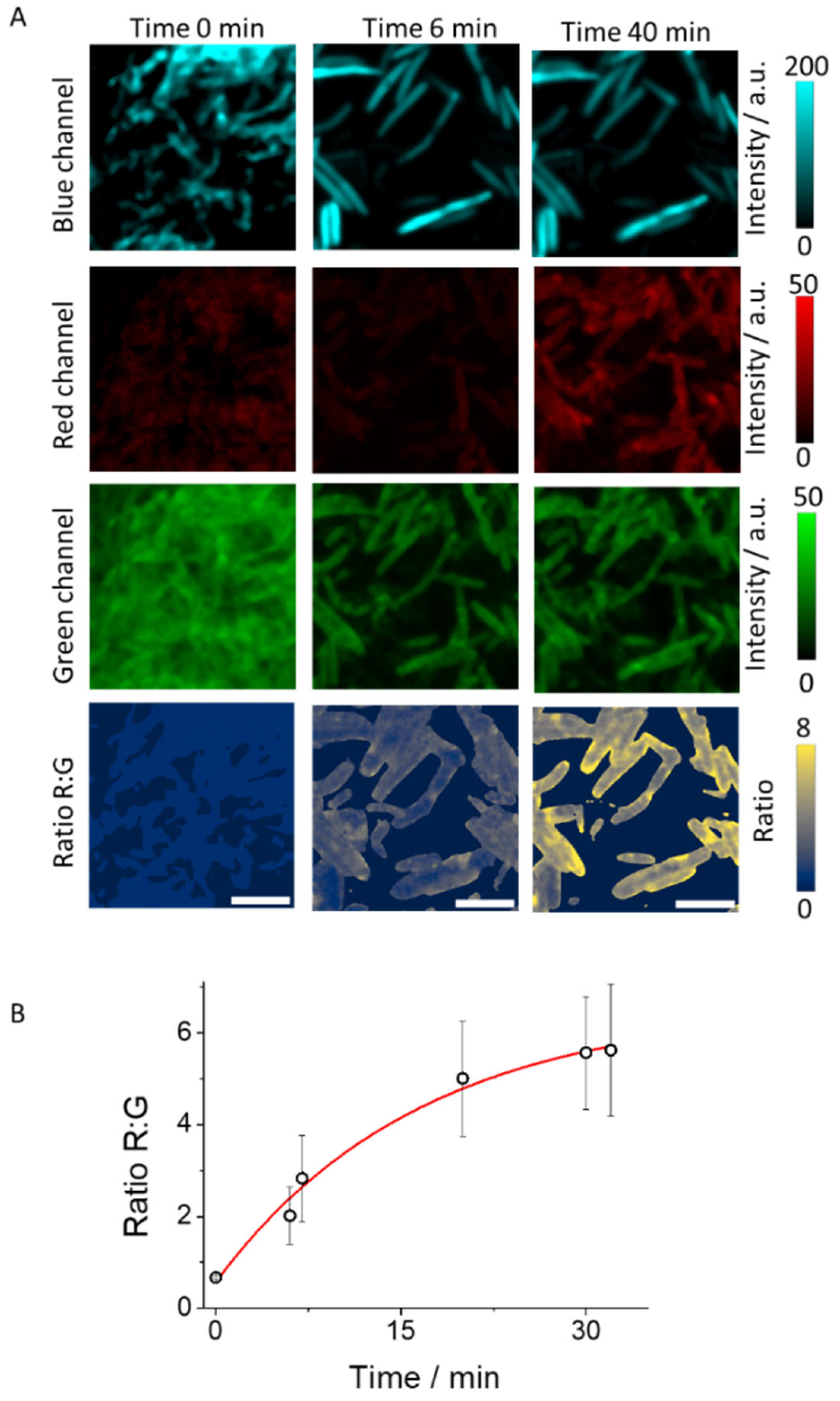 Biosensors 14 00424 g006