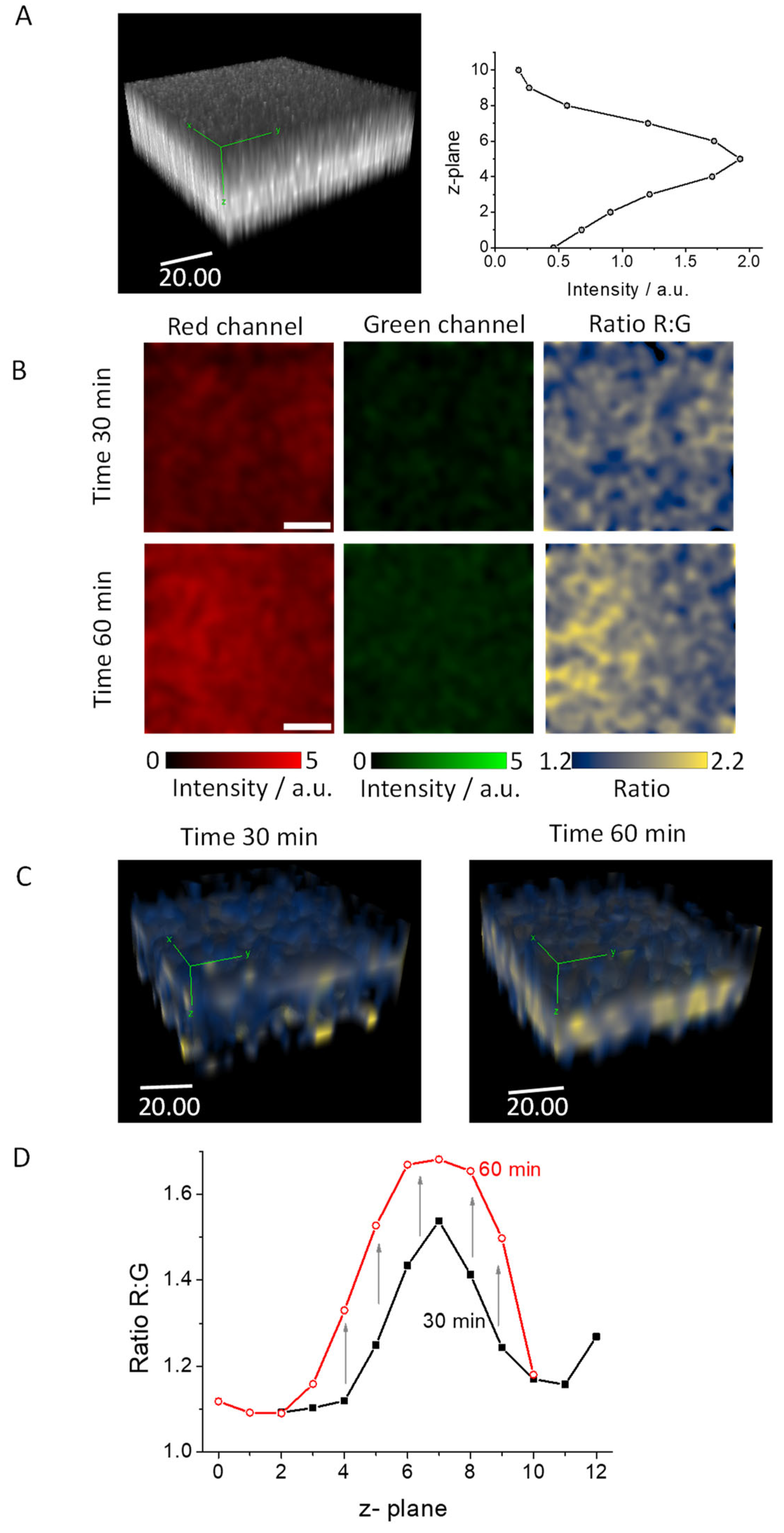 Biosensors 14 00424 g007