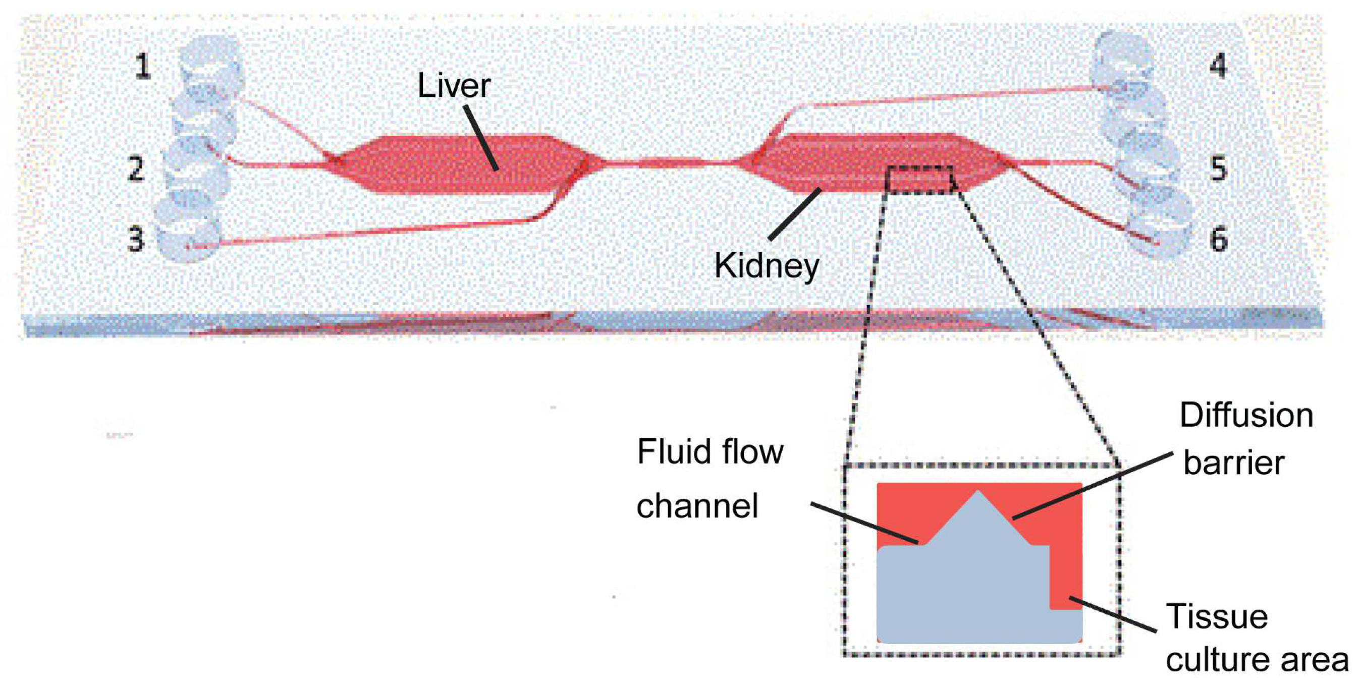 Biosensors 14 00425 g007