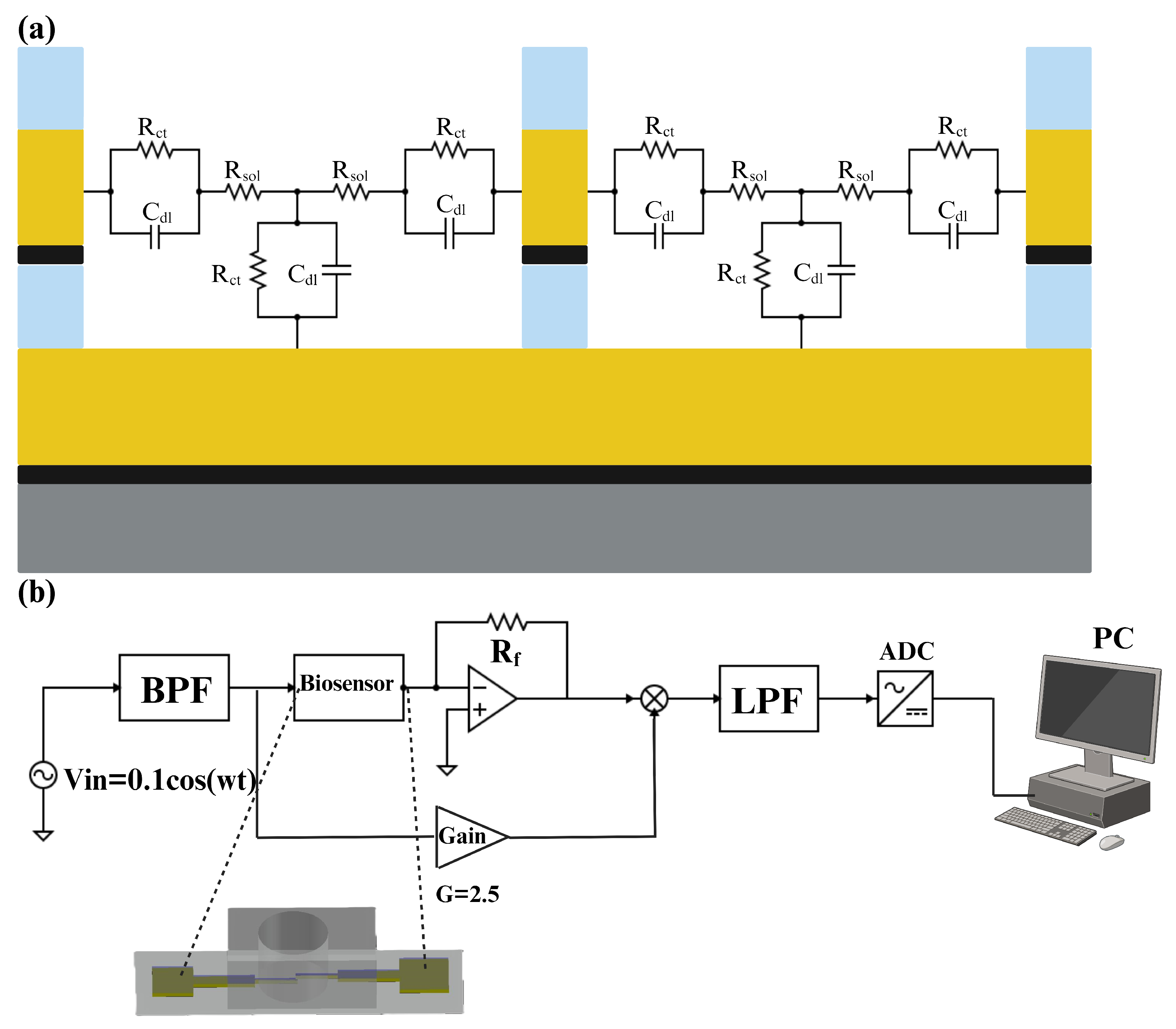 Biosensors 14 00426 g006