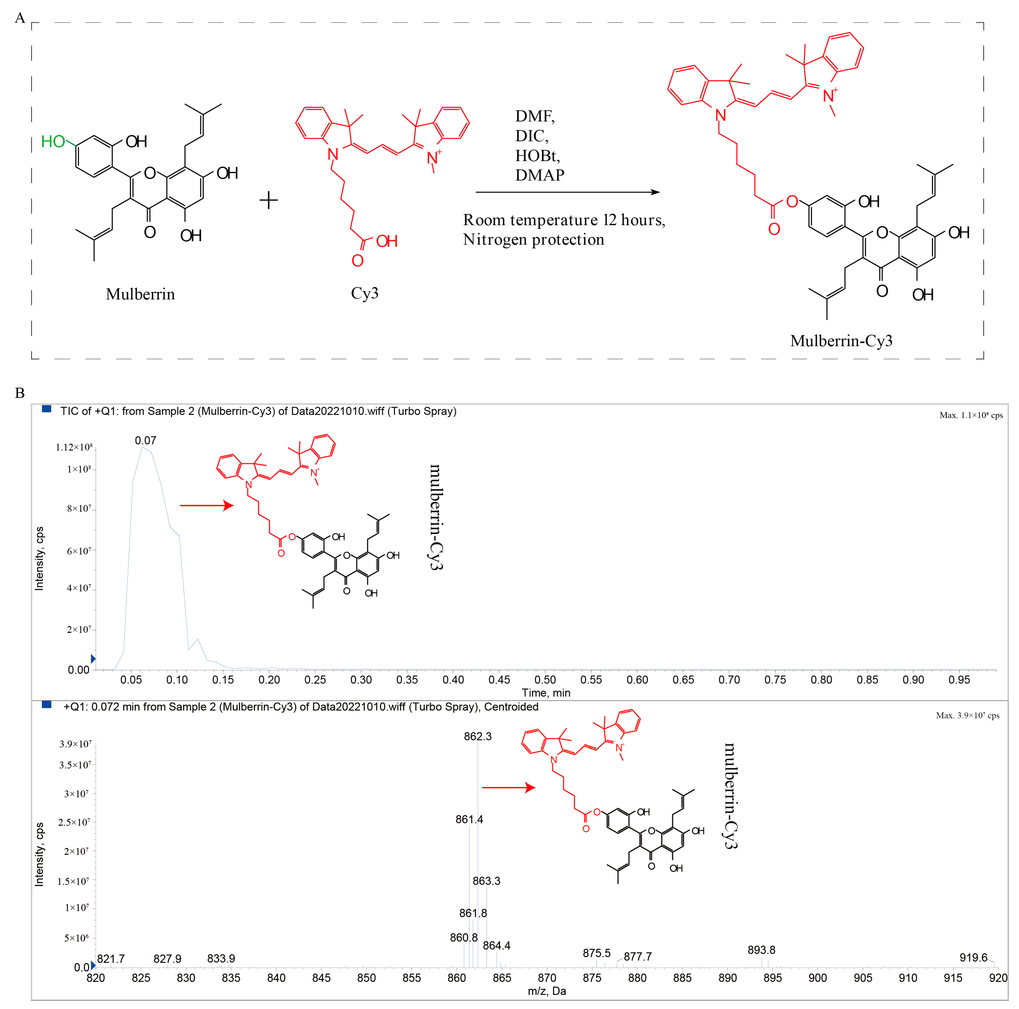 Biosensors 14 00428 g001