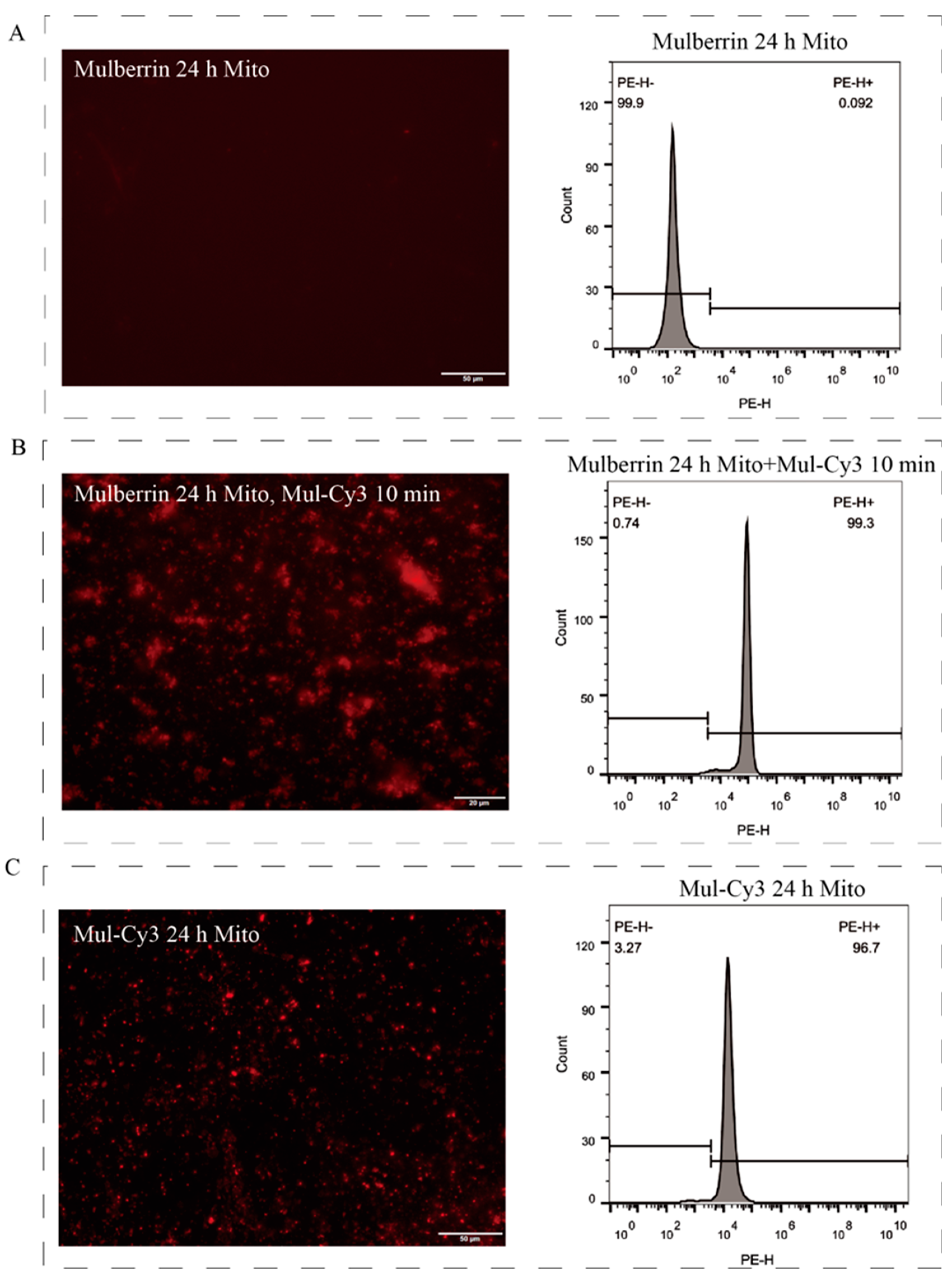 Biosensors 14 00428 g005