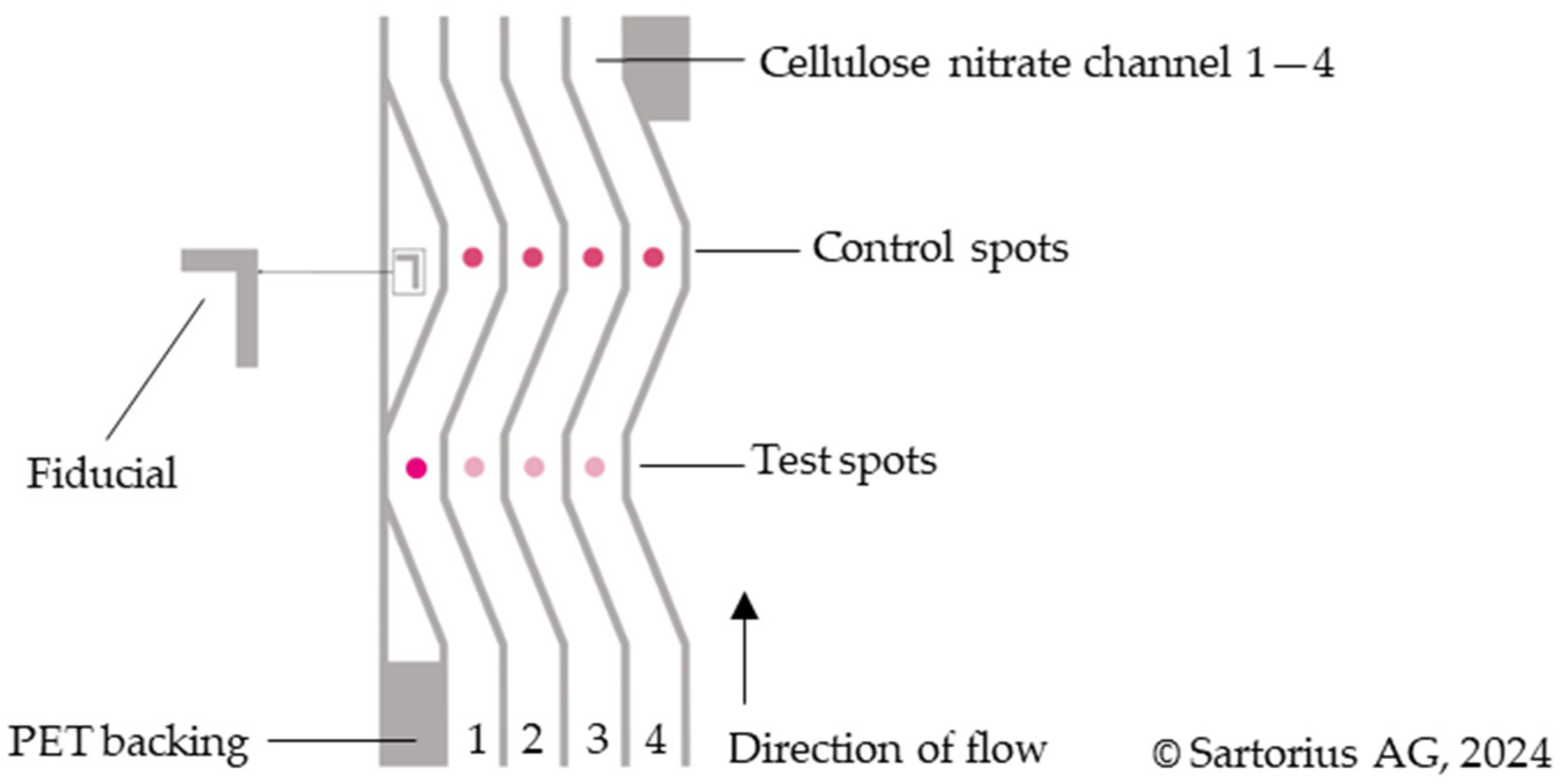 Biosensors 14 00430 g002